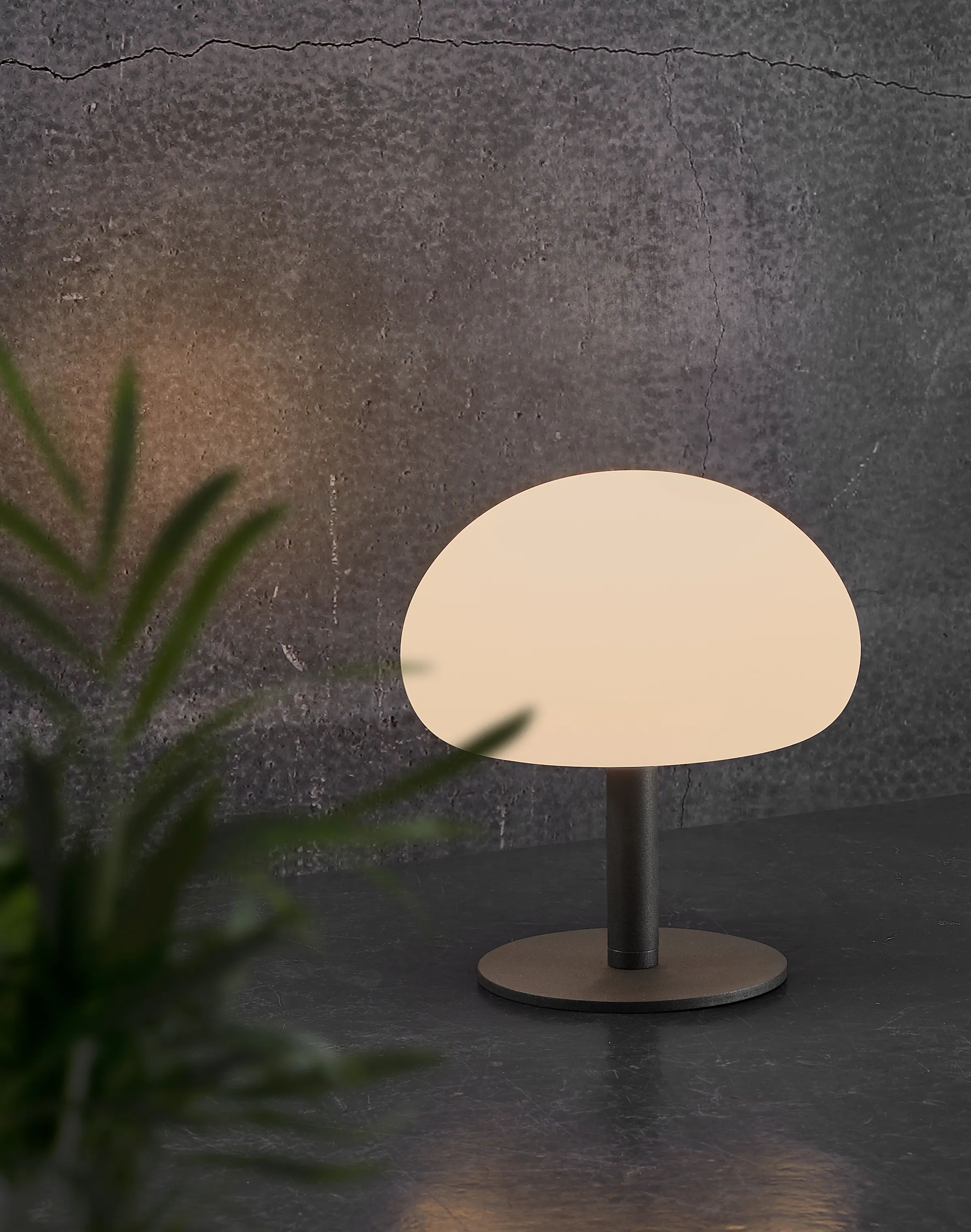 Nordlux Bordlamper Sponge LED Bordlampe i 21,5 cm, 5