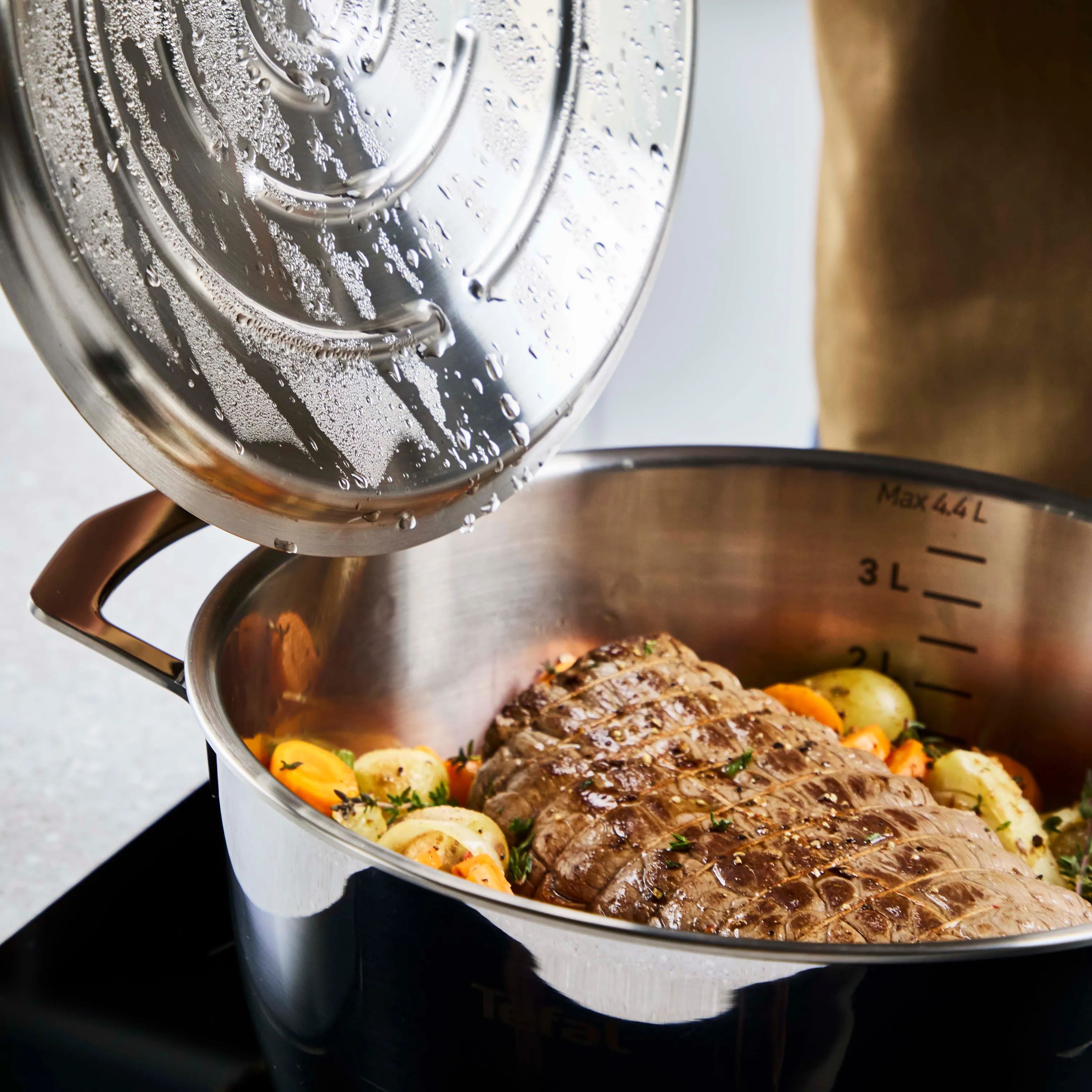 Tefal Gryder Emotion Plus Stegegryde i Sølvfarvet, 2
