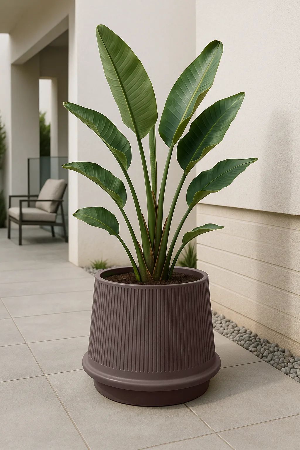 SACKit Plantekrukker Gaia Krukke i Mocca, 43 cm, 3