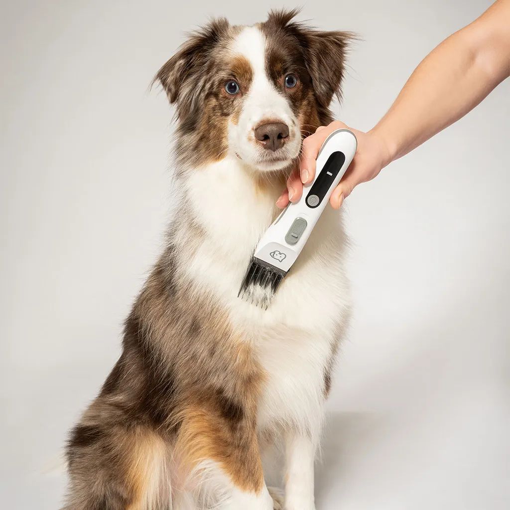 Beurer Tilbehør til kæledyr PetCare Kæledyrs Trimmer PP110 i Hvid/grå, 3