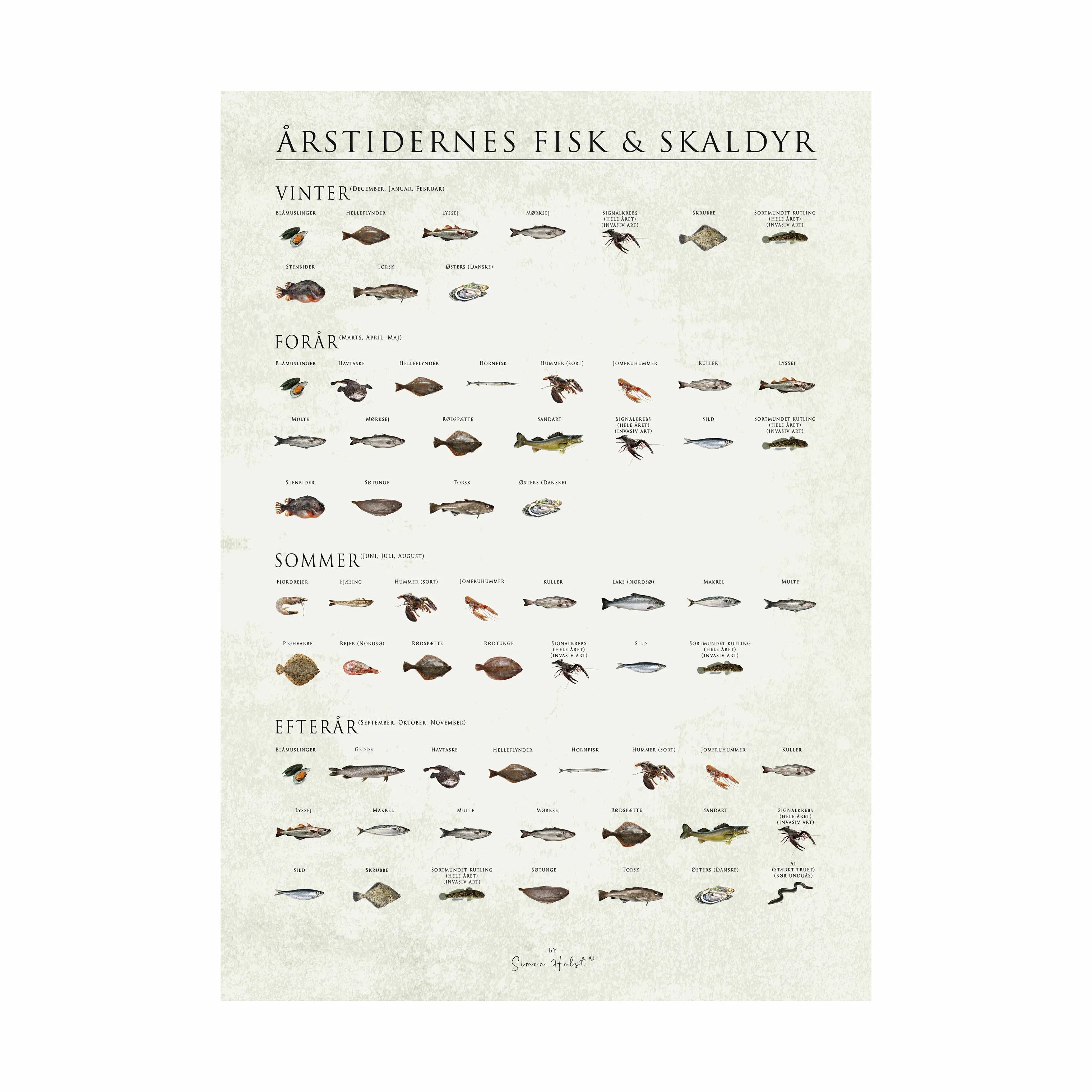 Poster&Frame Plakater plakat - Årstidernes fisk og skaldyr i B30 x L40 cm, 1