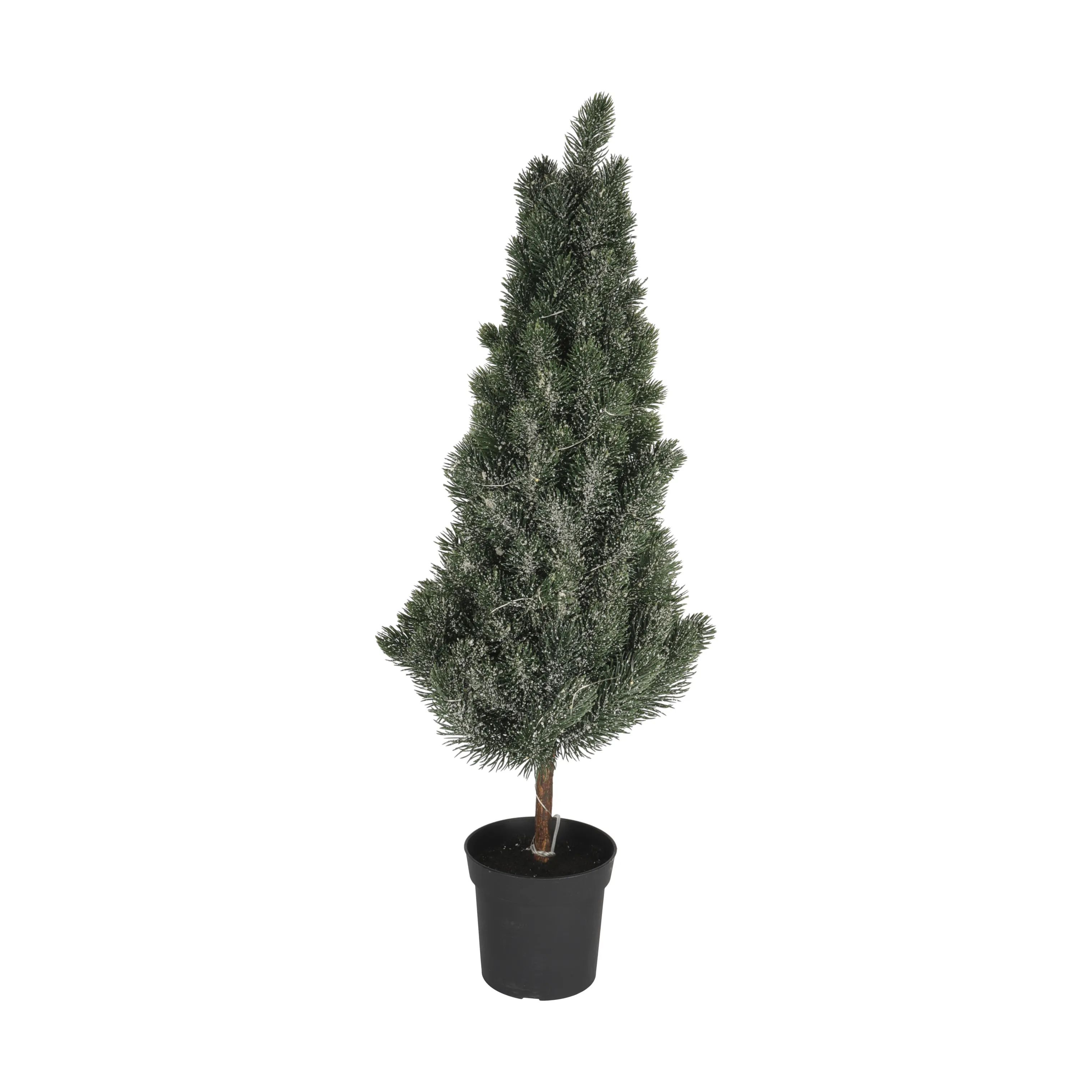 Casa Christmas Juletræer Juletræ i Grøn, sort potte, 1