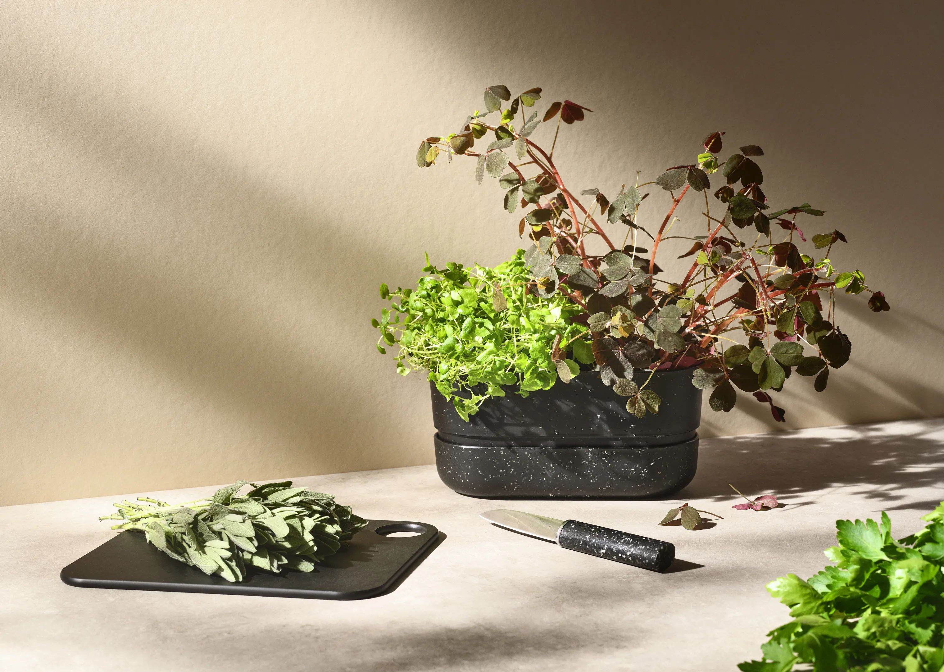 Rig-Tig Urtepotteskjulere Pot-It Urtekasse i black, 2