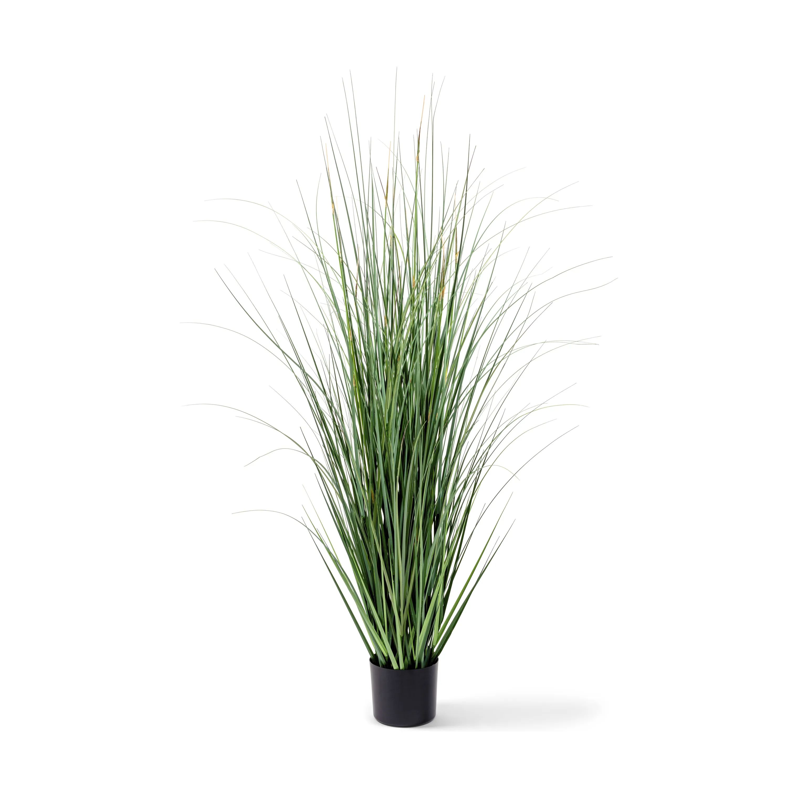 SKAGEN living Kunstige blomster Kunstig Plante - Græs i sort/grøn, 1