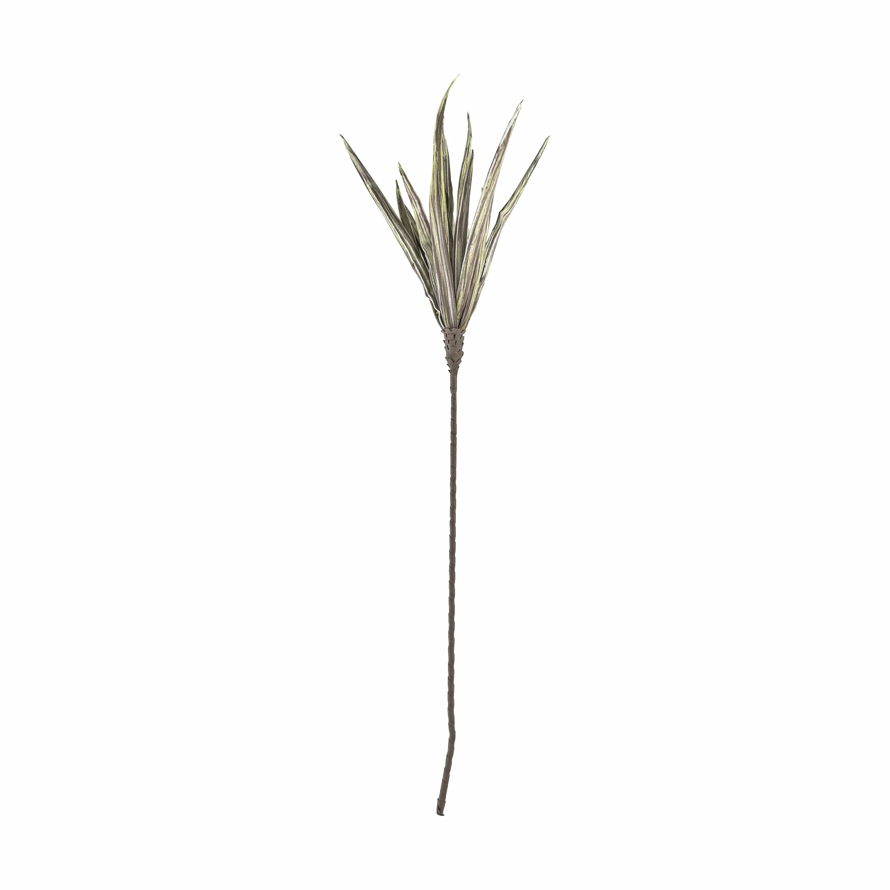 CASA Living Kunstige blomster Casa Living AW2020 Agave i Støvet grøn, 1