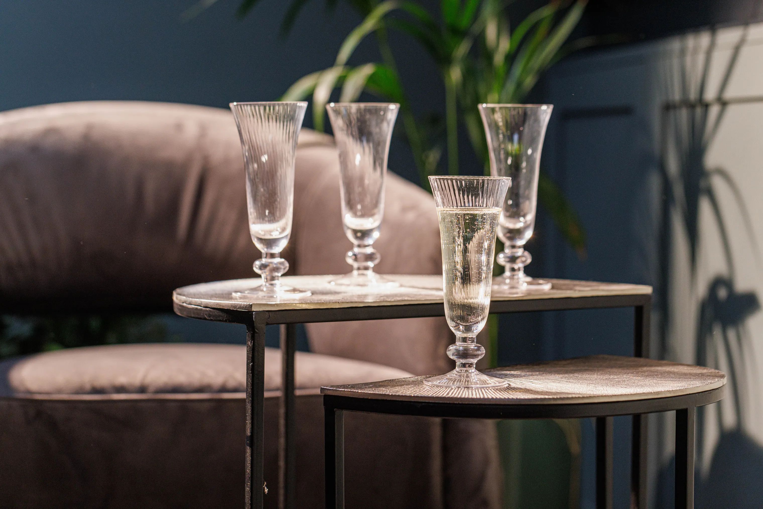 Mikasa Champagneglas Salerno Champagneglas - 4 stk. i Klar, 2