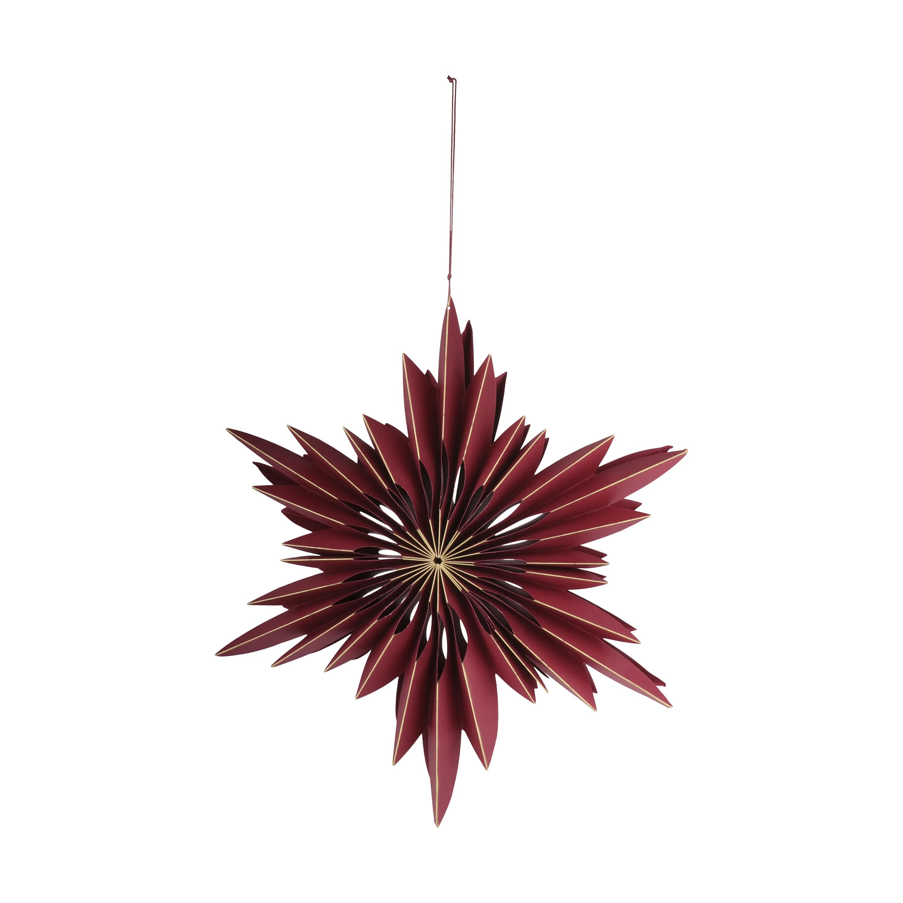 Casa Christmas Øvrigt julepynt Stjerne i Bordeaux/guld, 40 cm, 1