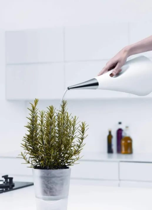 Eva Solo Vandkander AquaStar Vandkande i Hvid, 2 L, 2