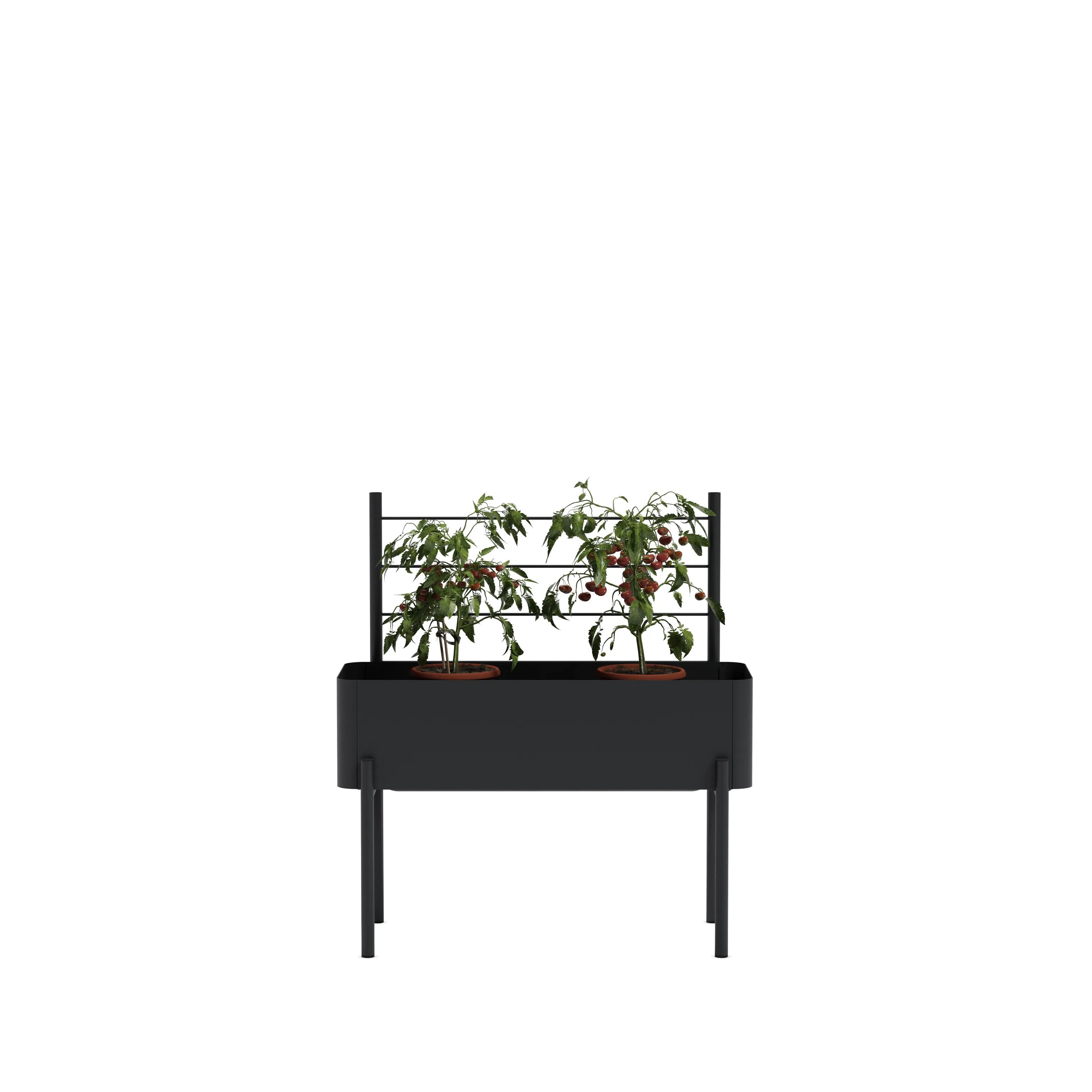 Eva Solo Øvrigt haveudstyr Simply Grow Espalier til plantekasse i H102 x B70 cm, 4