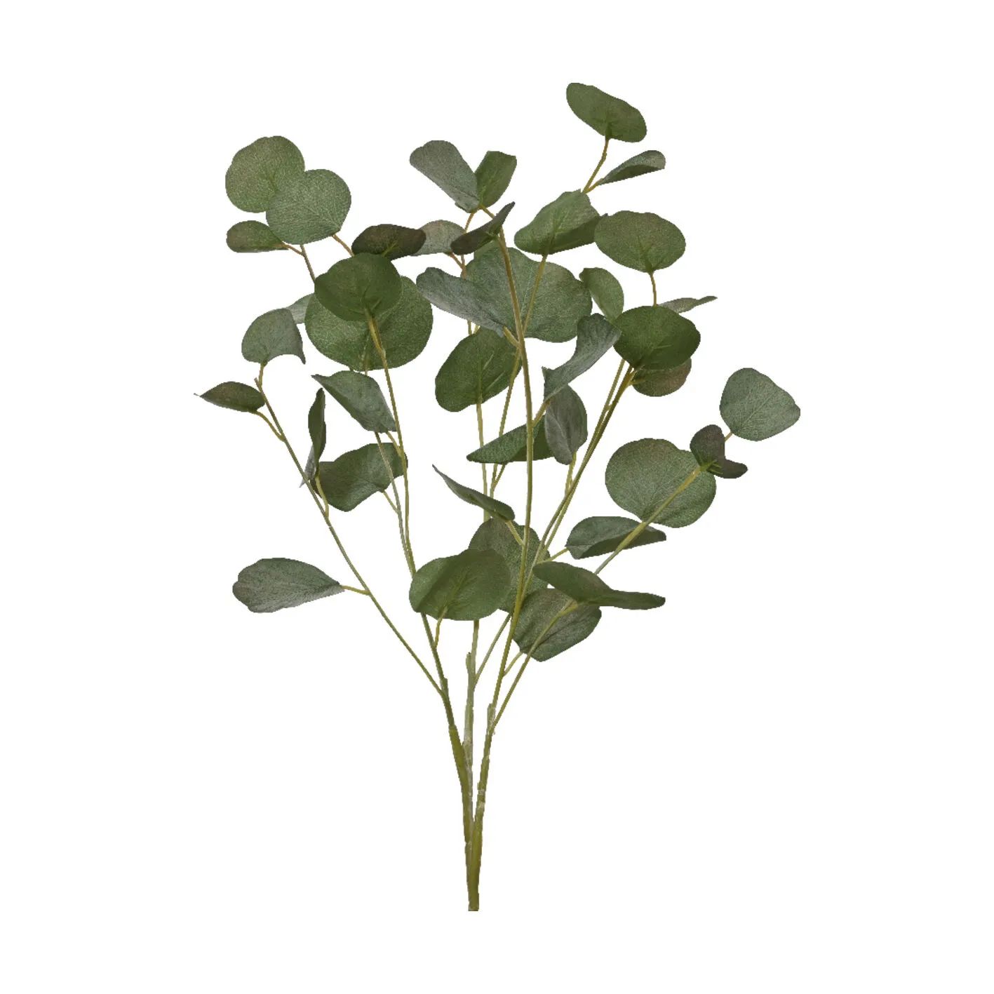 CASA Living Kunstige blomster Kunstig blomst - Eukalyptusgren i 78 cm, 1