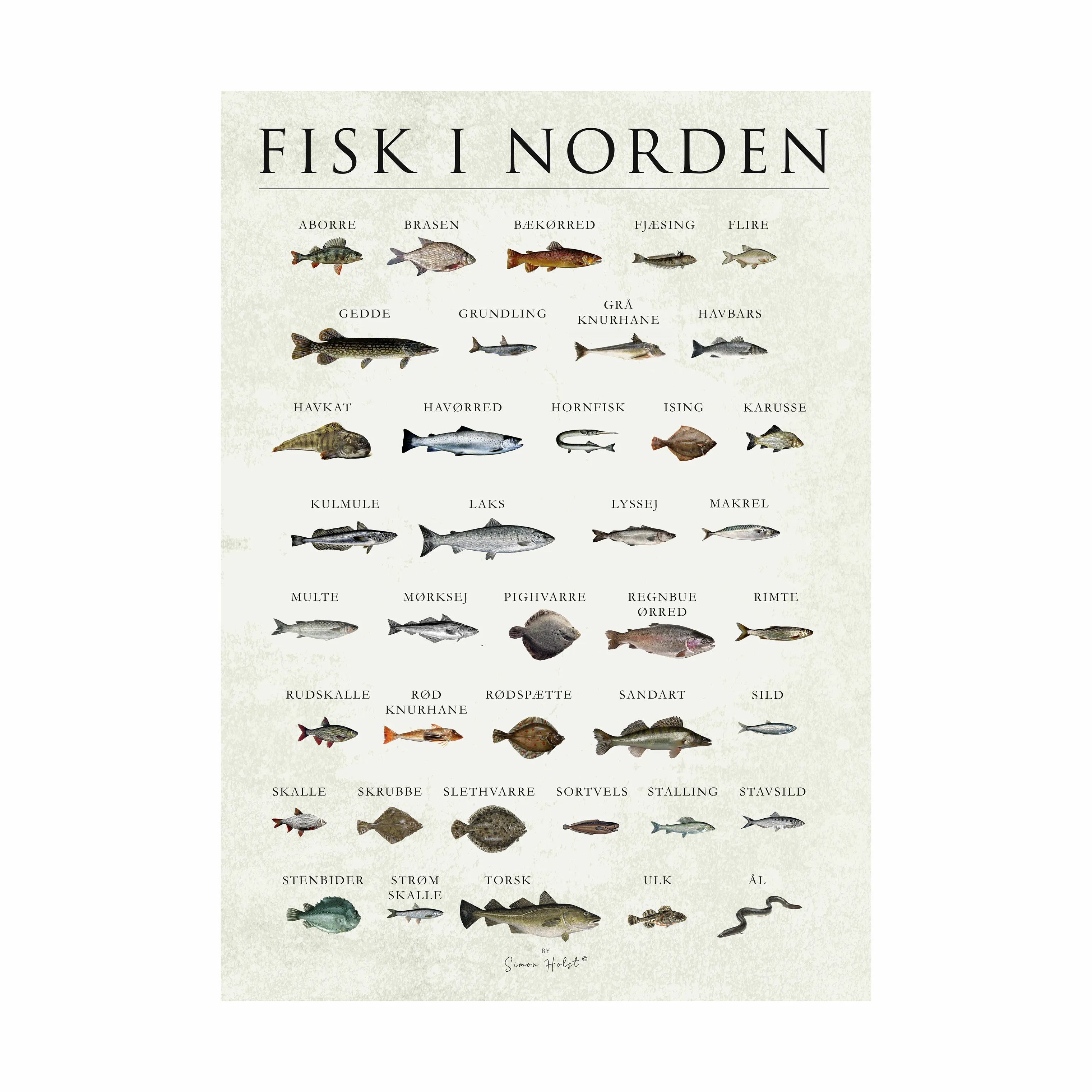Poster&Frame Plakater plakat - Fisk i Norden i B30 x L40 cm, 1
