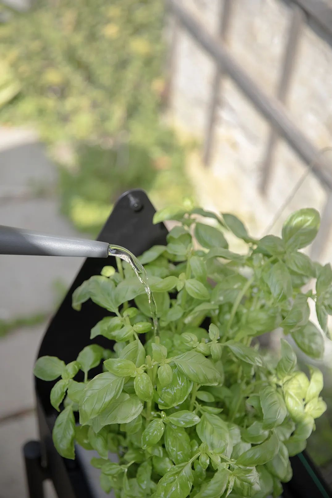 Eva Solo Altankasser Simply Grow Drivhus Plantekasse i 73 cm, 5
