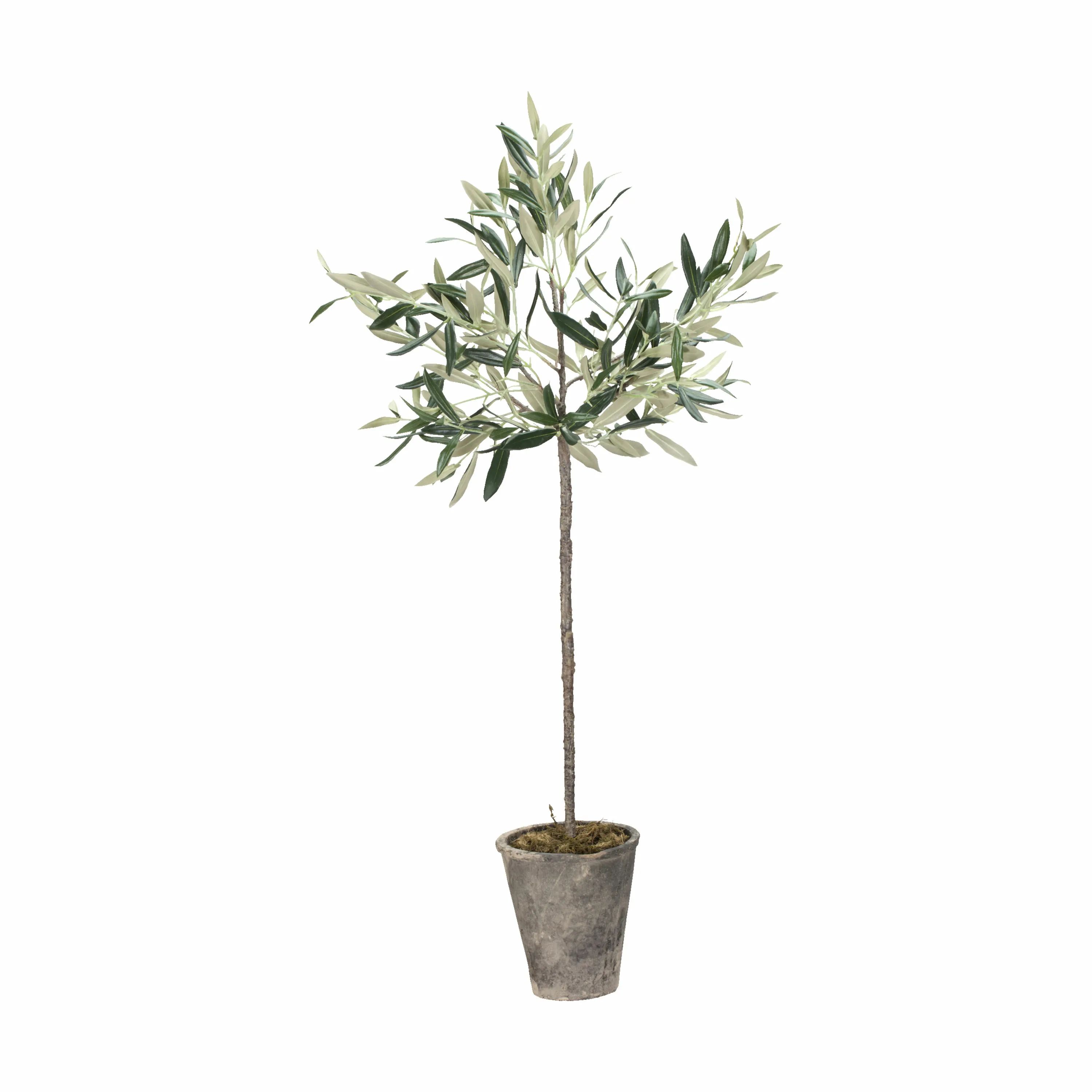 Lene Bjerre Kunstige blomster Flora Kunstig Oliventræ i 73 cm, 1