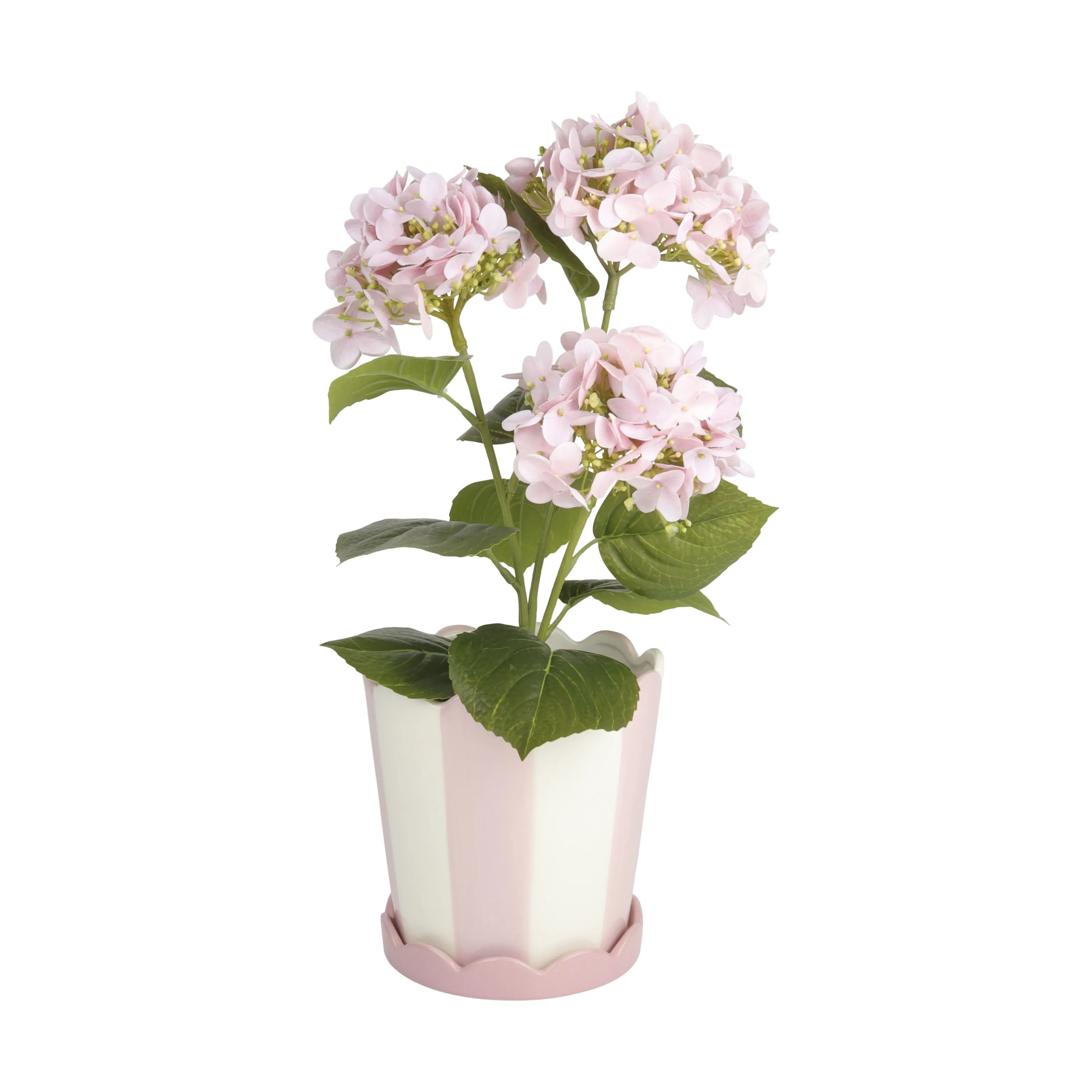 CASA Living Urtepotteskjulere Urtepotteskjuler i 13,2 cm, 3