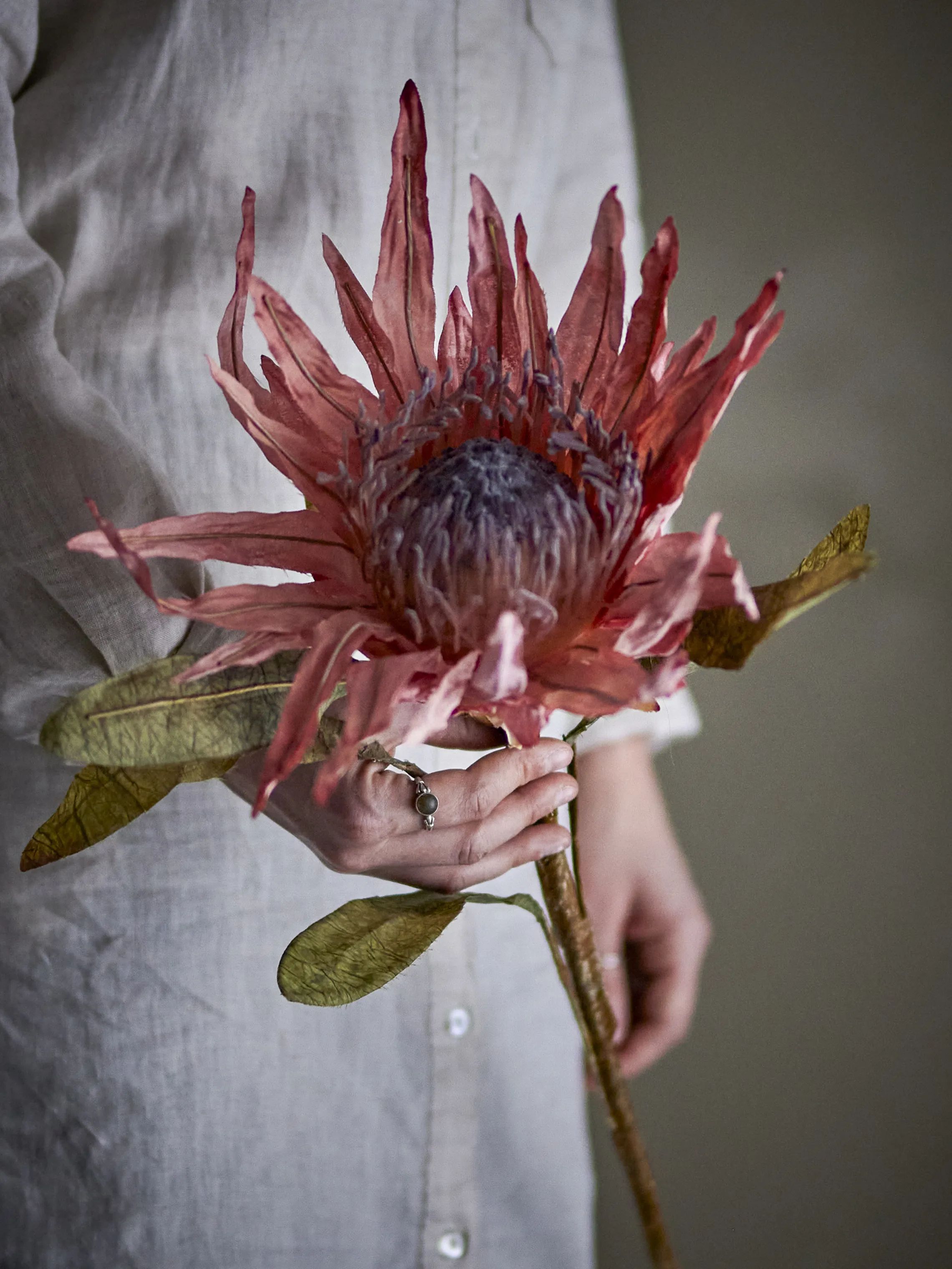 Bloomingville Kunstige blomster Kunstig blomst - Protea stilk i Lyserød, 2