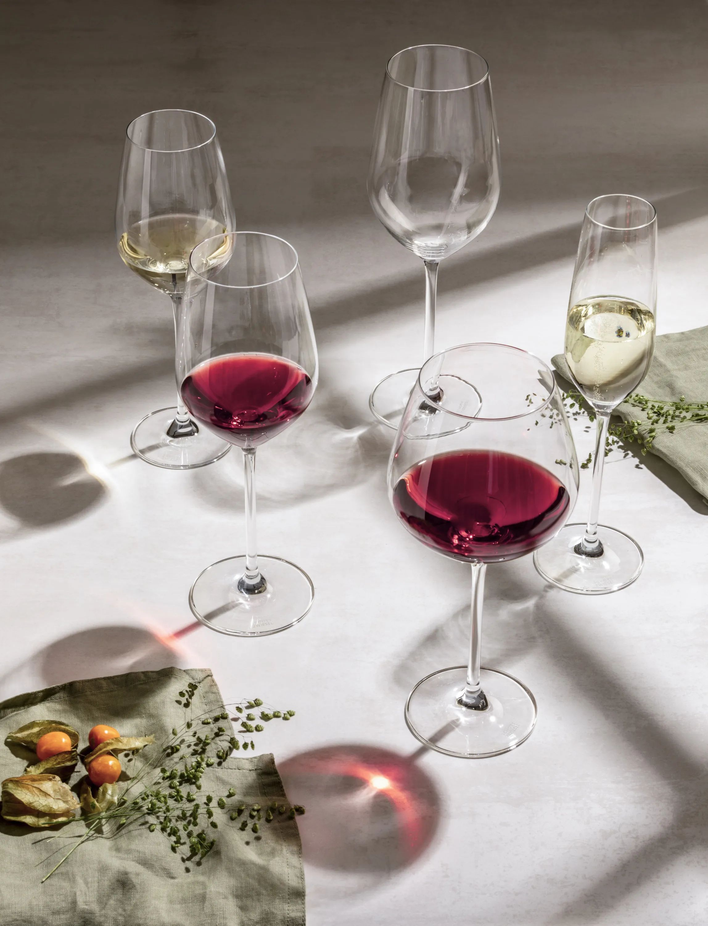 Schott Zwiesel Rødvinsglas Fortissimo Vinglas - 4 stk i Klar, 3