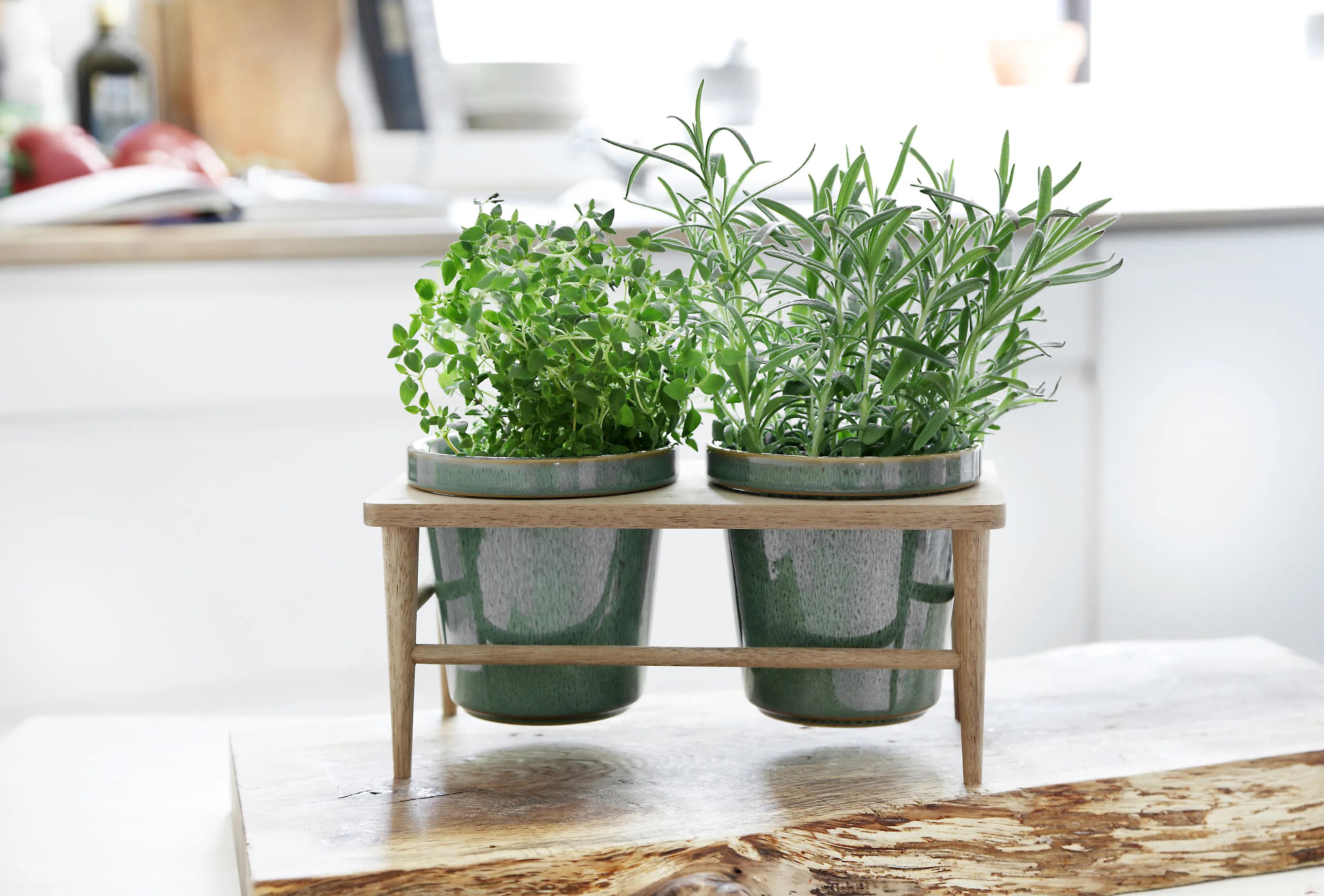 CASA Living Urtepotteskjulere Sofia Urtepottesæt - 3 dele i Grøn, 11 cm, 2