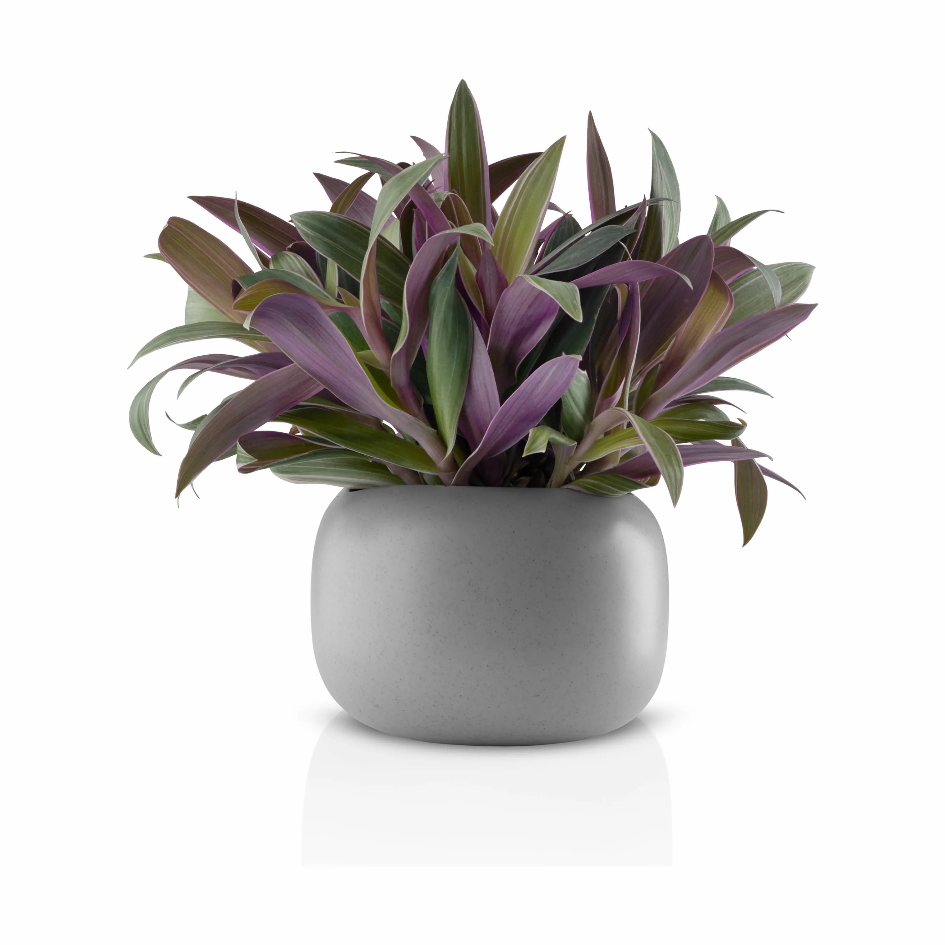 Eva Solo Urtepotteskjulere Stone Urtepotte i Stone, 12 cm, 4