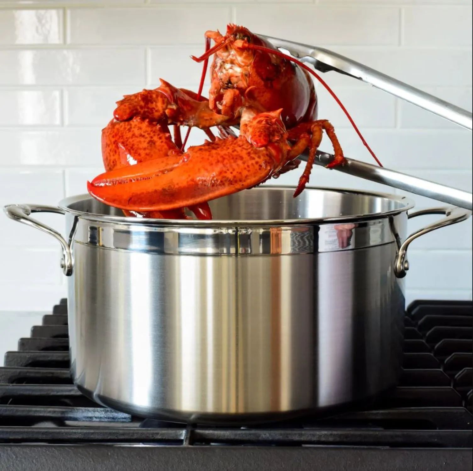 Hestan Gryder Probond Gryde i Rustfrit stål, 3