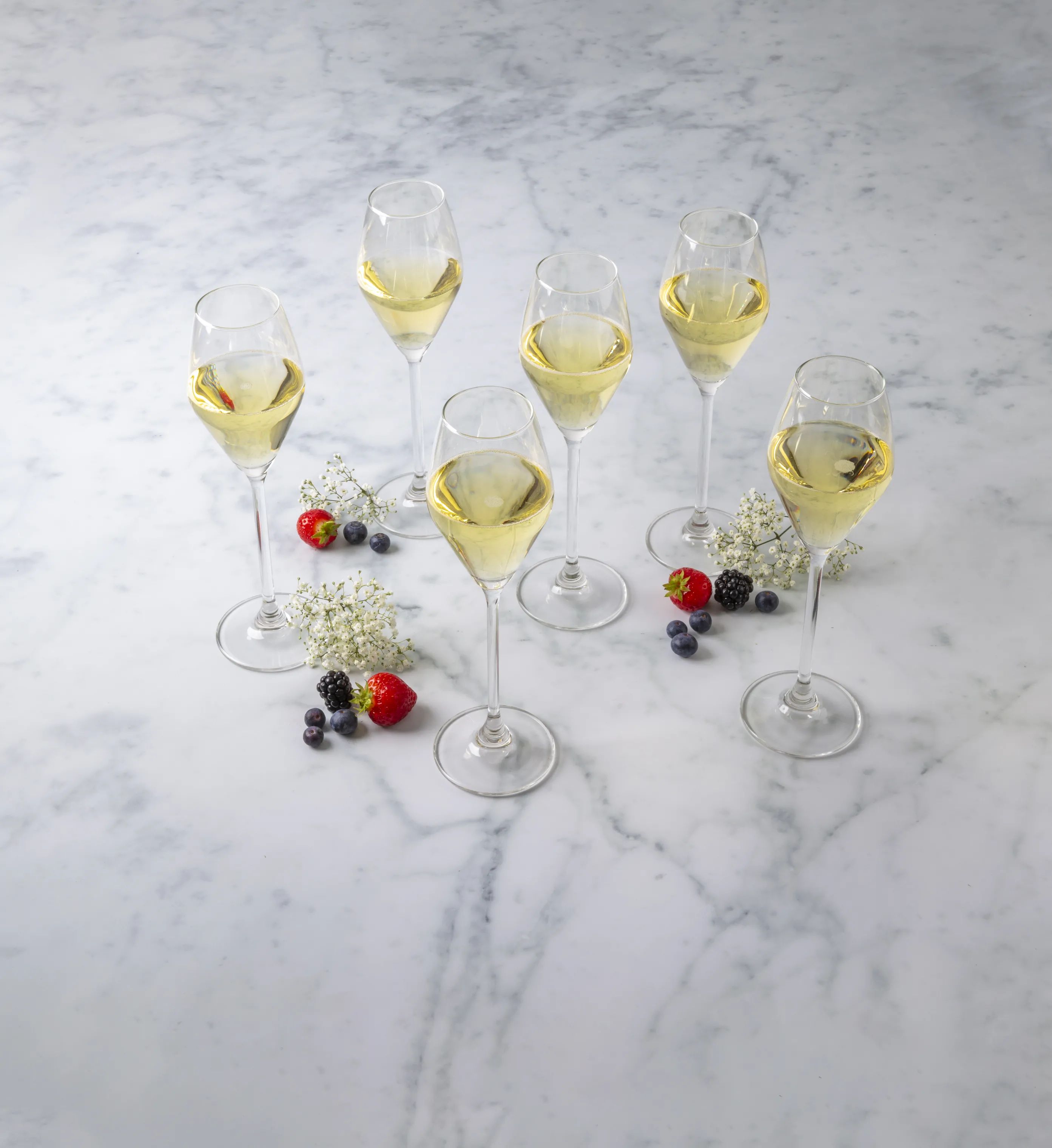 CASA Living Champagneglas Toscana Champagneglas - 6 stk. i Klar, 2