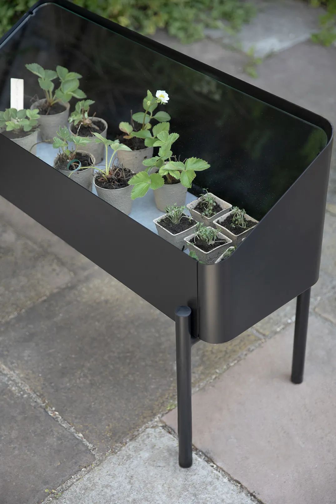 Eva Solo Altankasser Simply Grow Spire Plantekasse i 63 cm, 10