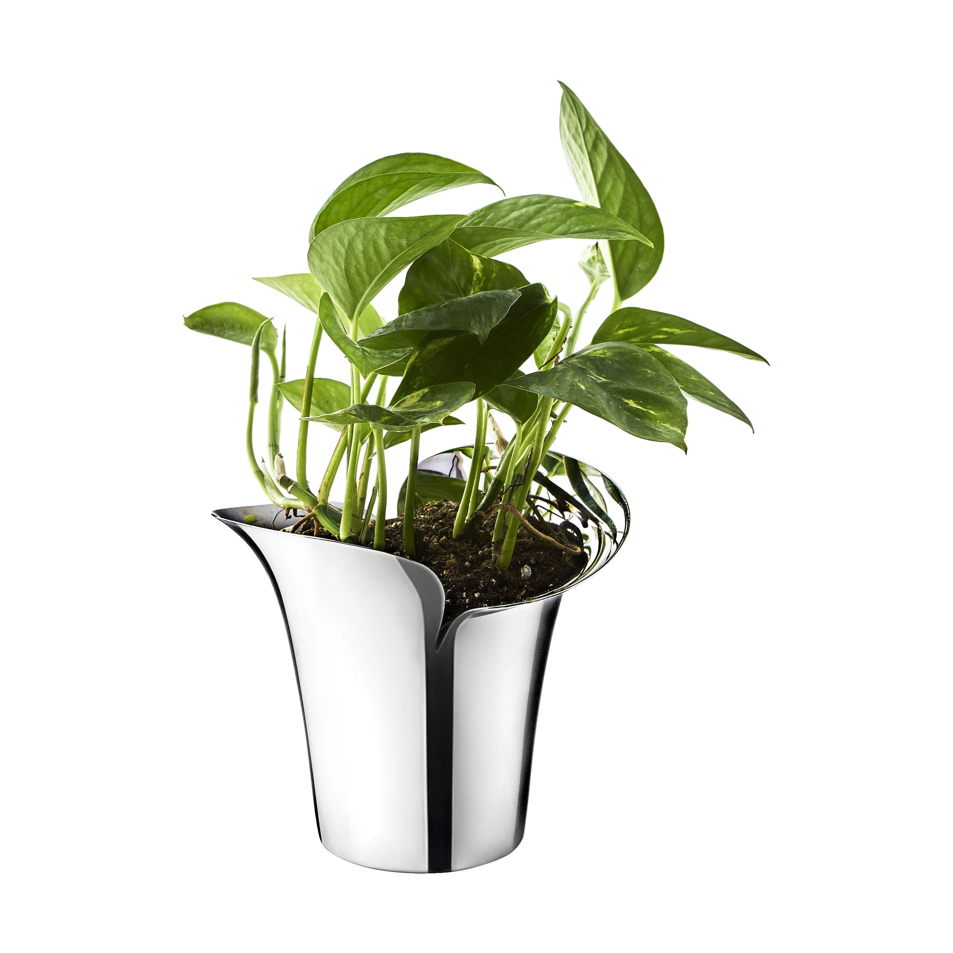 Georg Jensen Urtepotteskjulere Bloom Botanica Urtepotteskjuler i Stål, B16 x L8 cm, 6