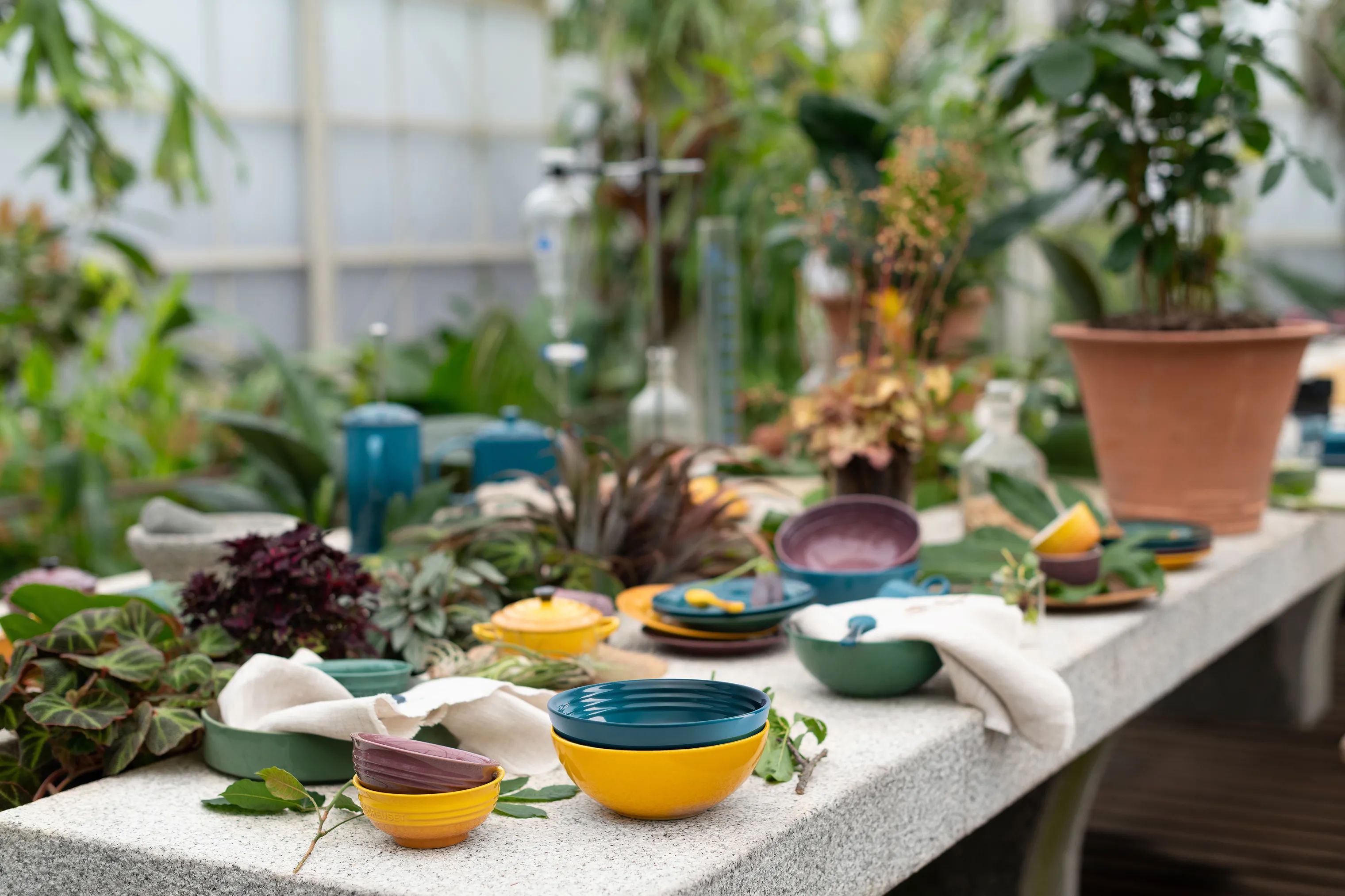 Le Creuset Kagetallerkener Botanique Desserttallerken - 4 stk. i Multifarvet, 3