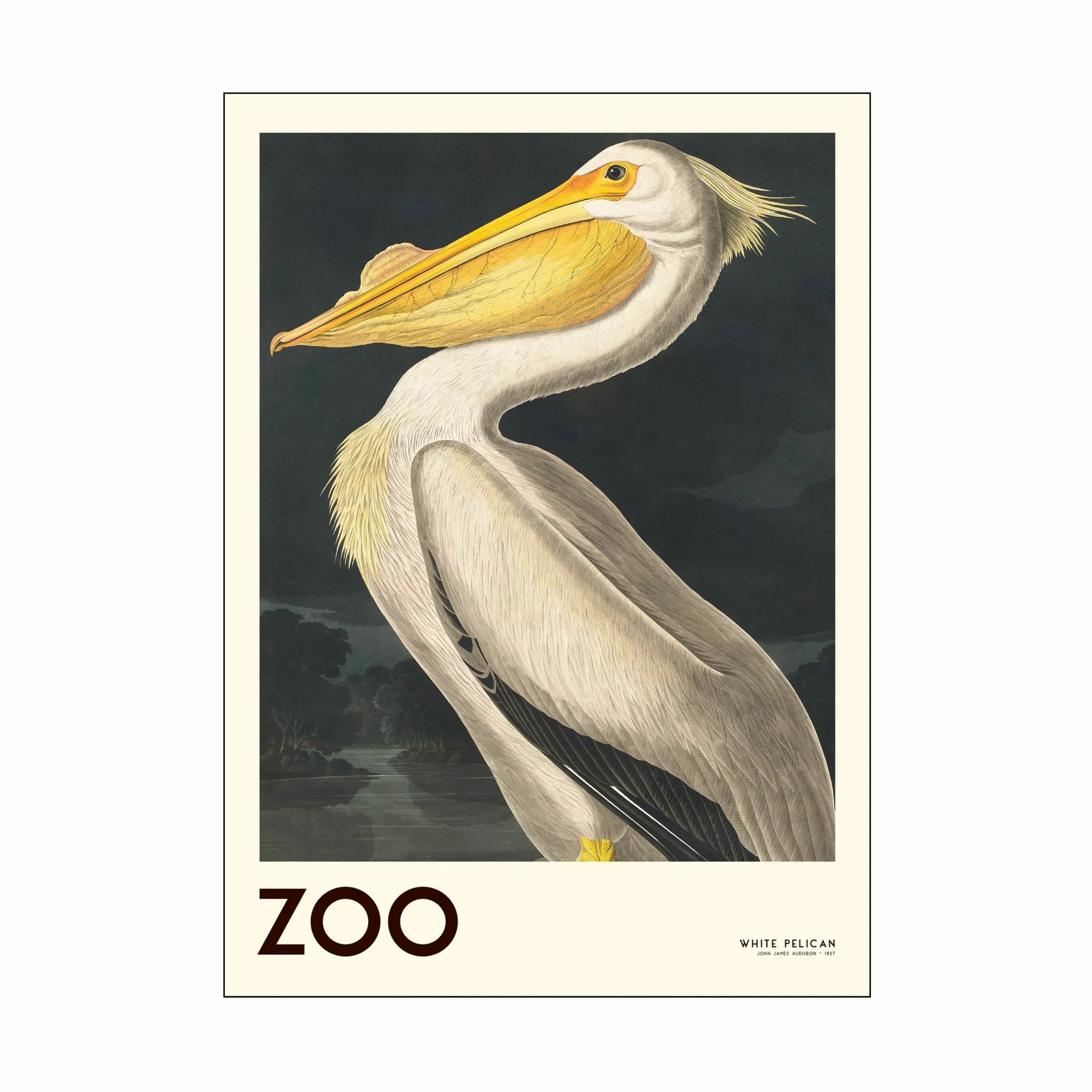 Poster&Frame Plakater Plakat - White pelican i Hvid/sort/gul, B50 x L70 cm, 1
