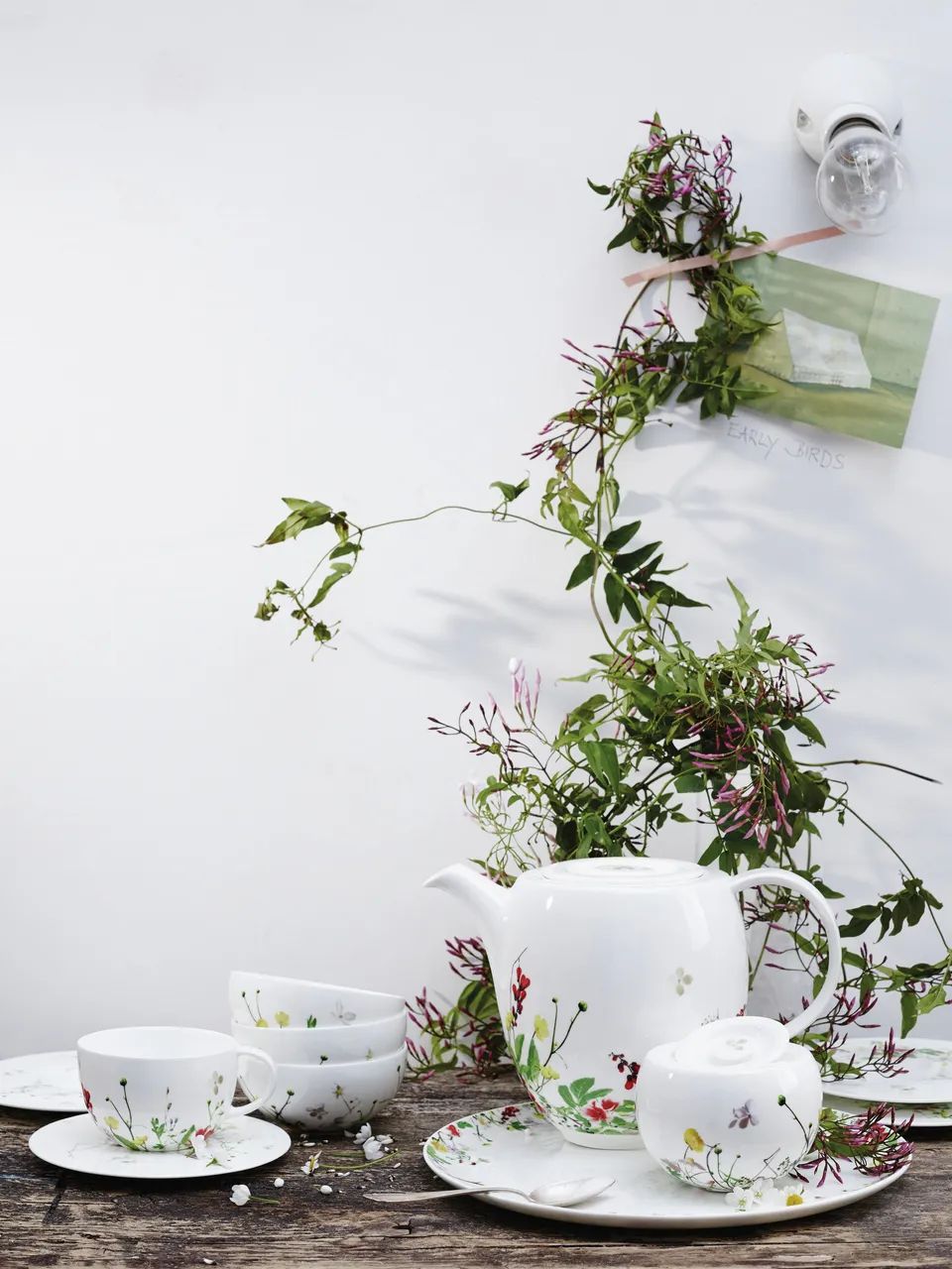 Rosenthal Krus og kopper med hank Brillance Fleurs Sauvages Kop i Hvid / Multifarvet, 2