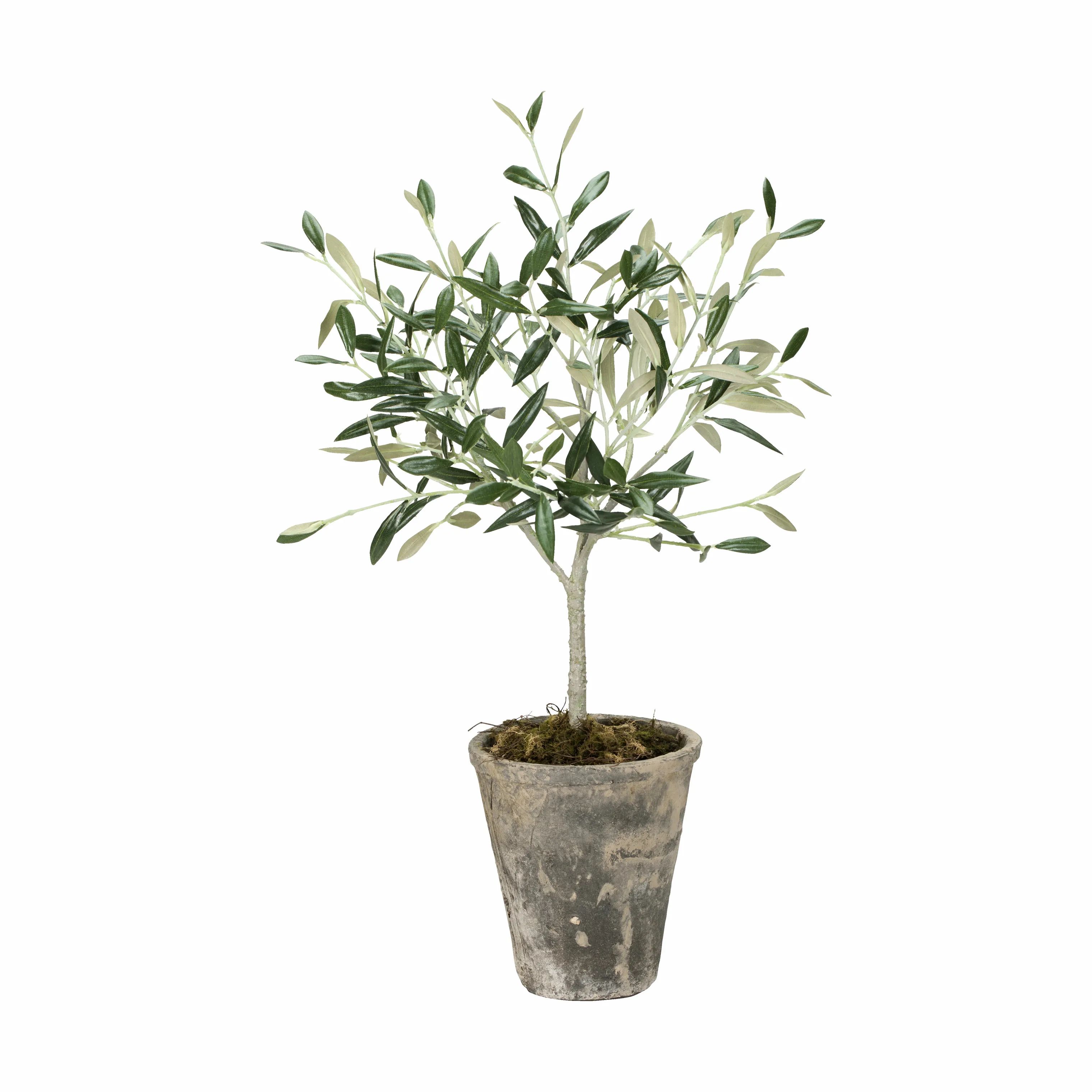 Lene Bjerre Kunstige blomster Flora Kunstig Oliventræ i Grøn, 1