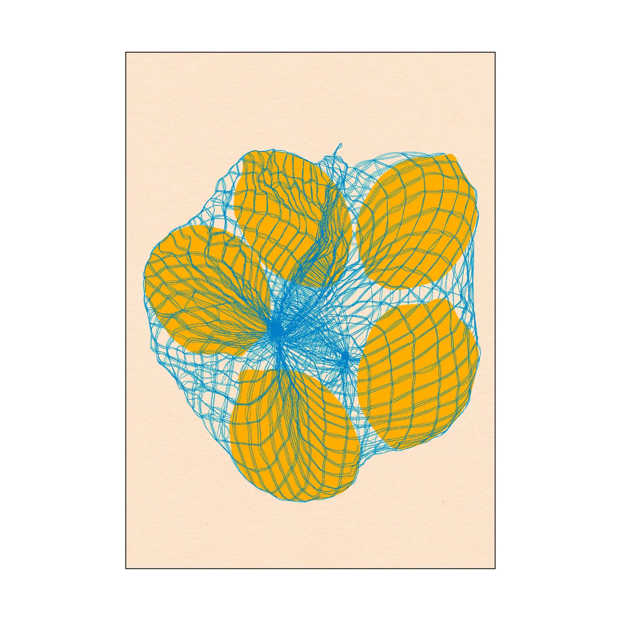 Poster&Frame Plakater Rosi Feist Plakat - Five lemons in a net bag i B30 x L40 cm, 1
