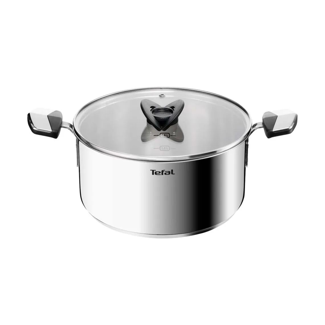 Tefal Gryder Emotion Plus SS Uncoated Gryde i 4.5 L, 1