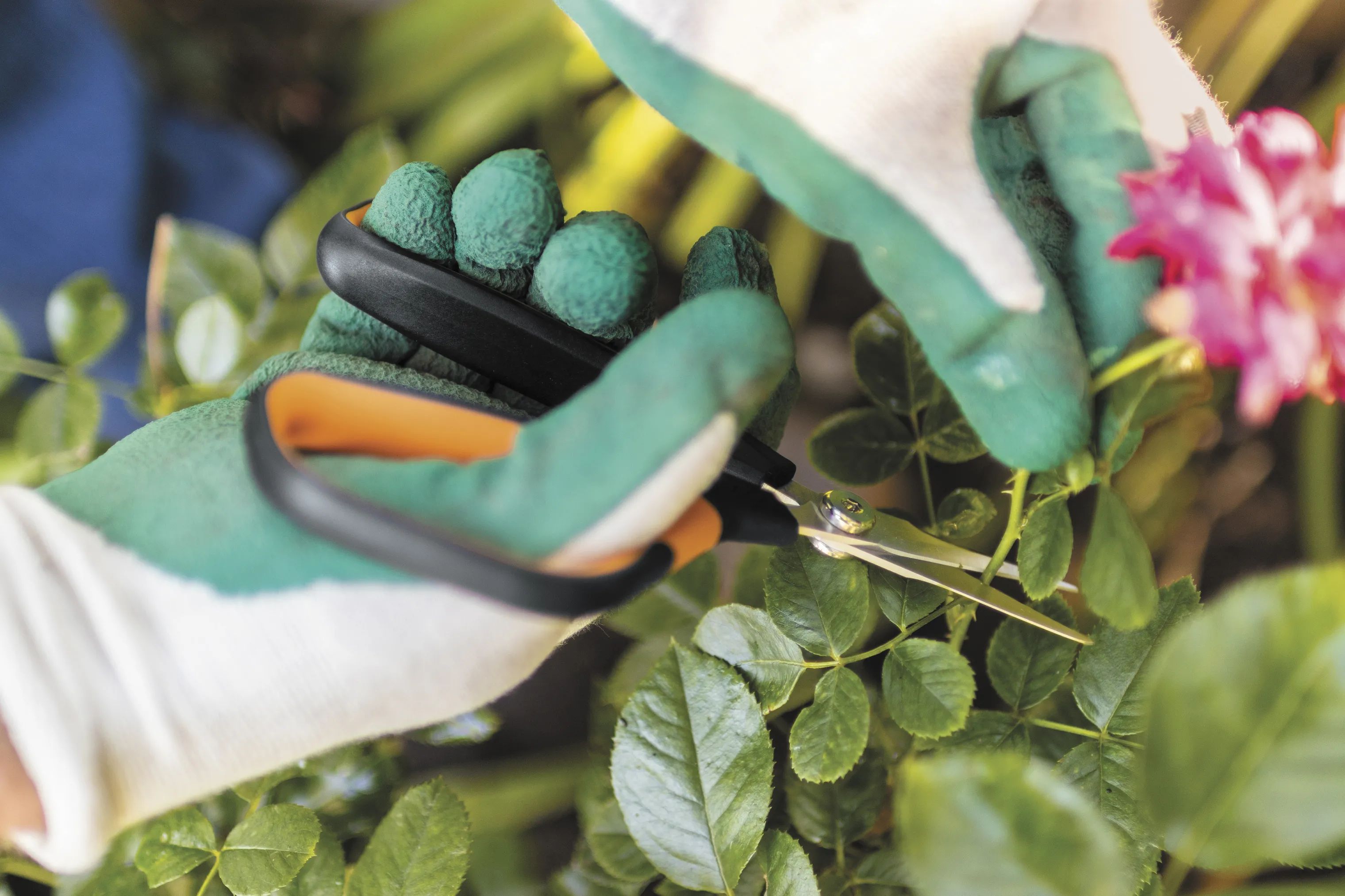Fiskars Garden Haveredskaber Fiskars Solid™ Solid Beskæresaks i Sort/orange, 3