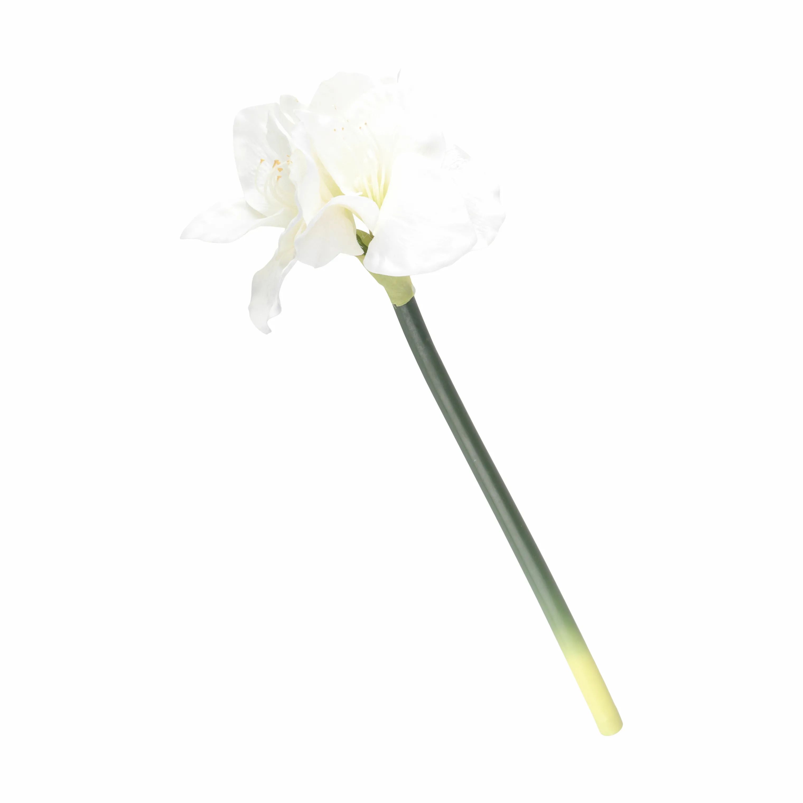 CASA Living Kunstige blomster Kunstig Blomst - Amaryllis i hvid, 1