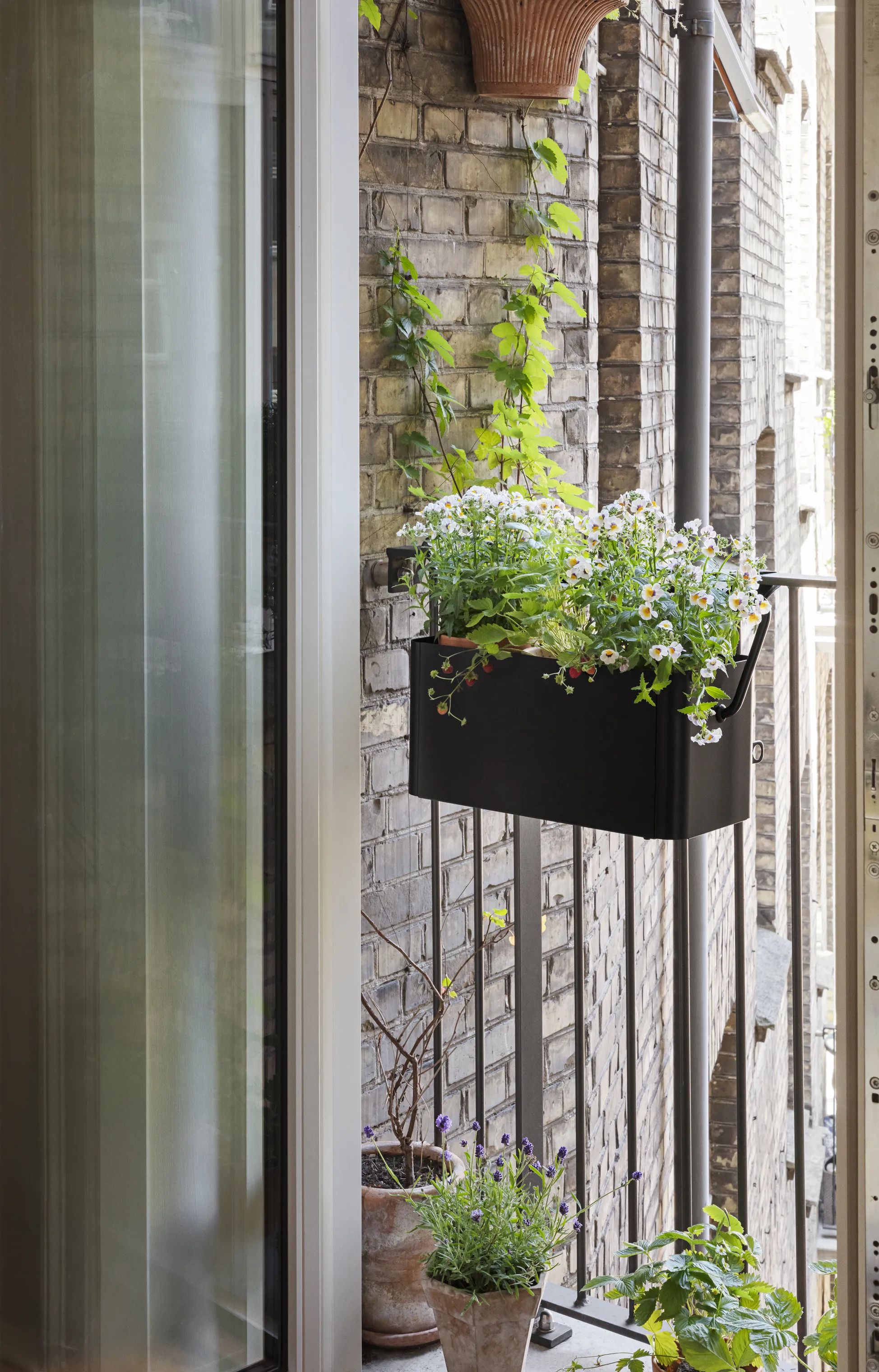 Eva Solo Altankasser Simply Grow Altankasse i 20 cm, 2