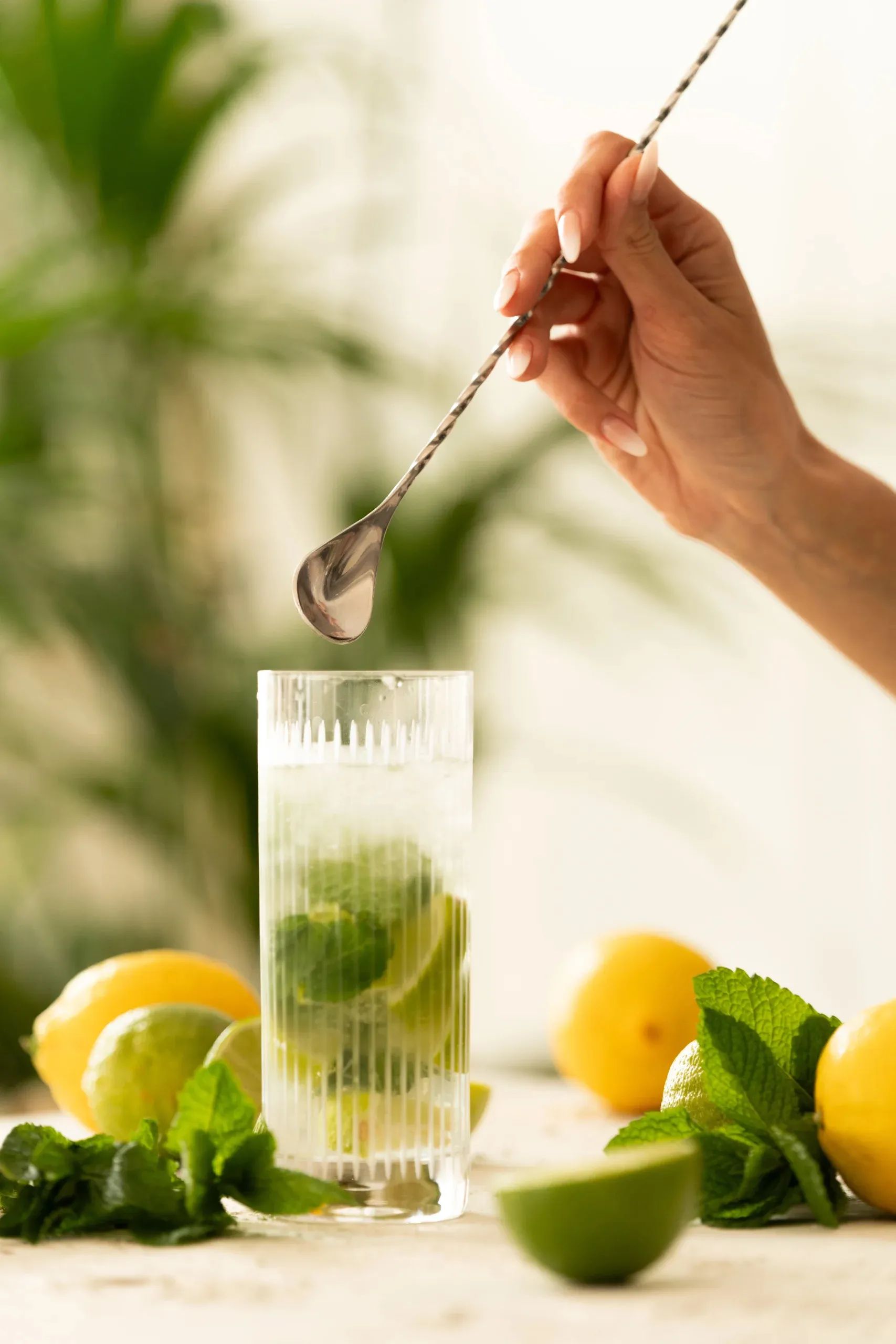Cocktail Club Øvrigt bartilbehør Barske i Stål, 4
