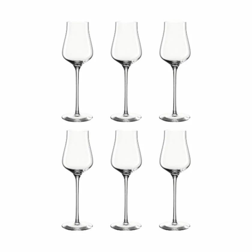 Leonardo Portvinsglas BRUNELLI Portvinsglas - 6 stk. i 6 stk., 1