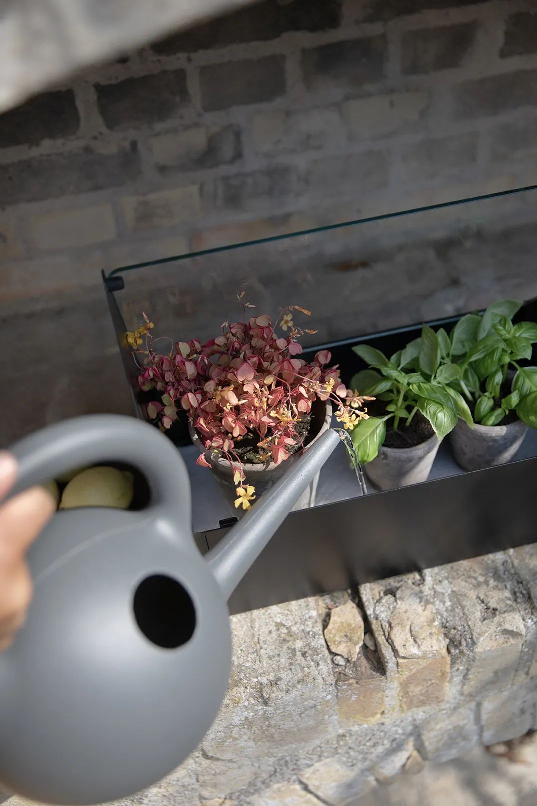 Eva Solo Altankasser Simply Grow Mini Drivhus i 32 cm, 8