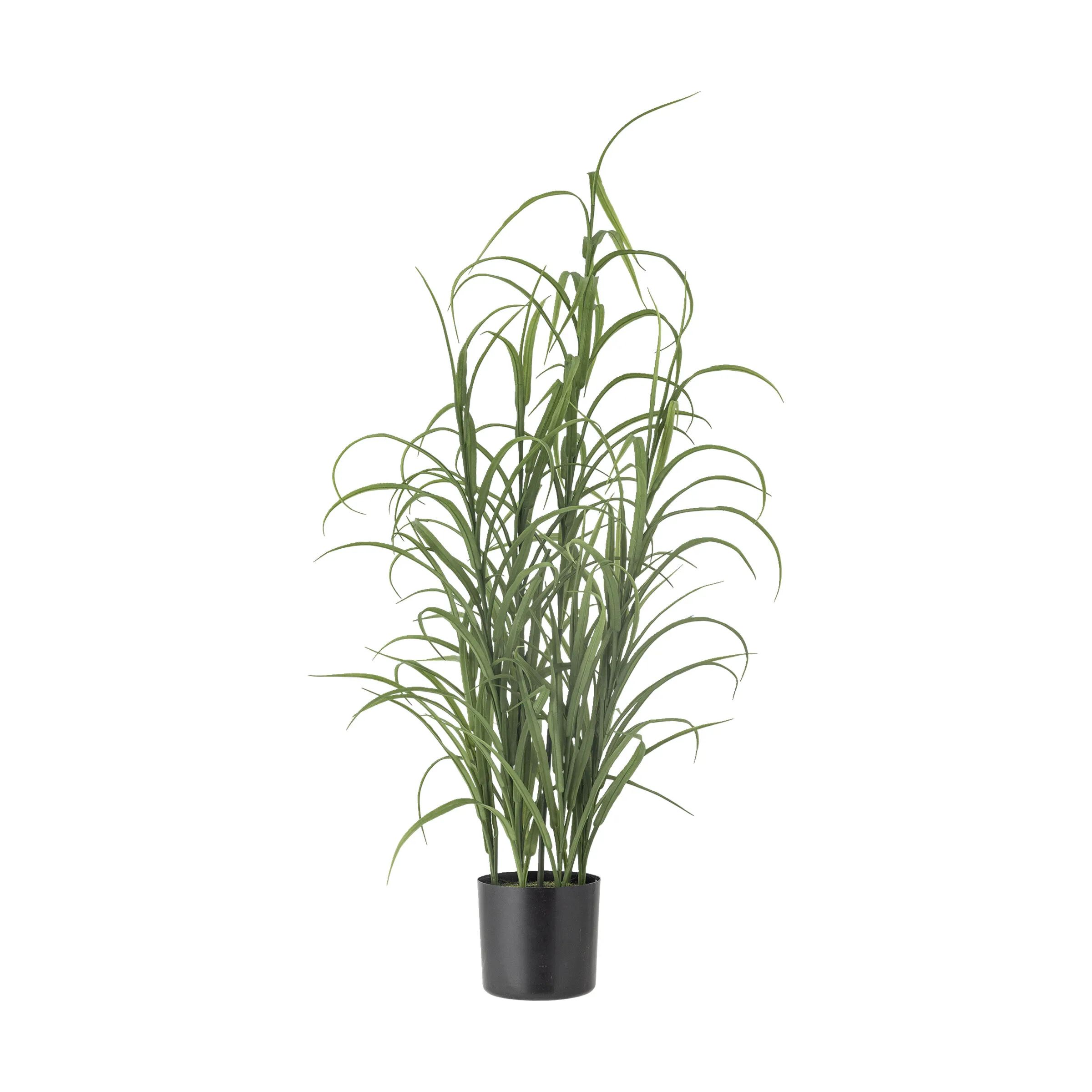 Bloomingville Øvrigt interiør Kunstig Plante - Grass i Grøn, 1