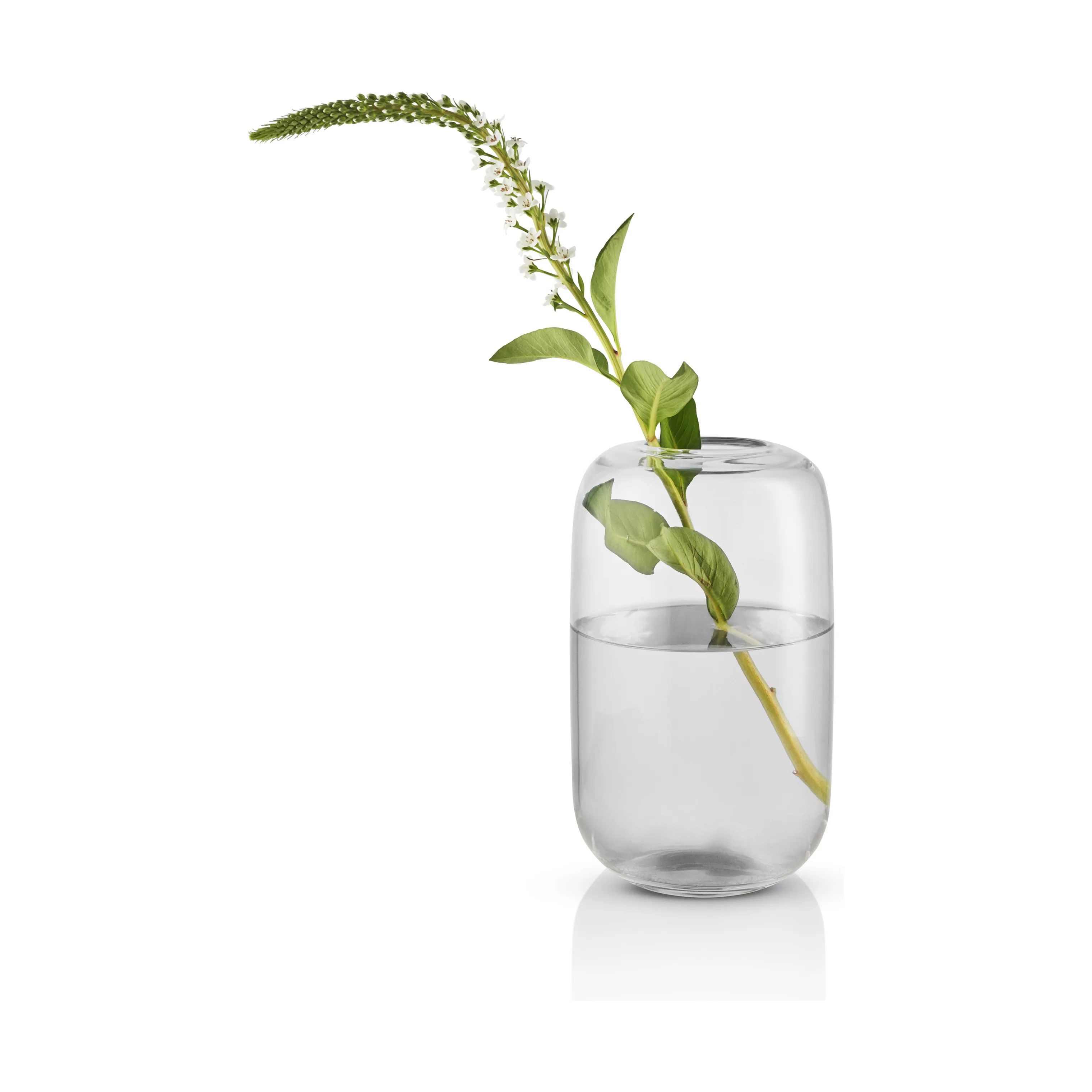 Eva Solo Vaser Acorn Vase i Clear, 22 cm, 4
