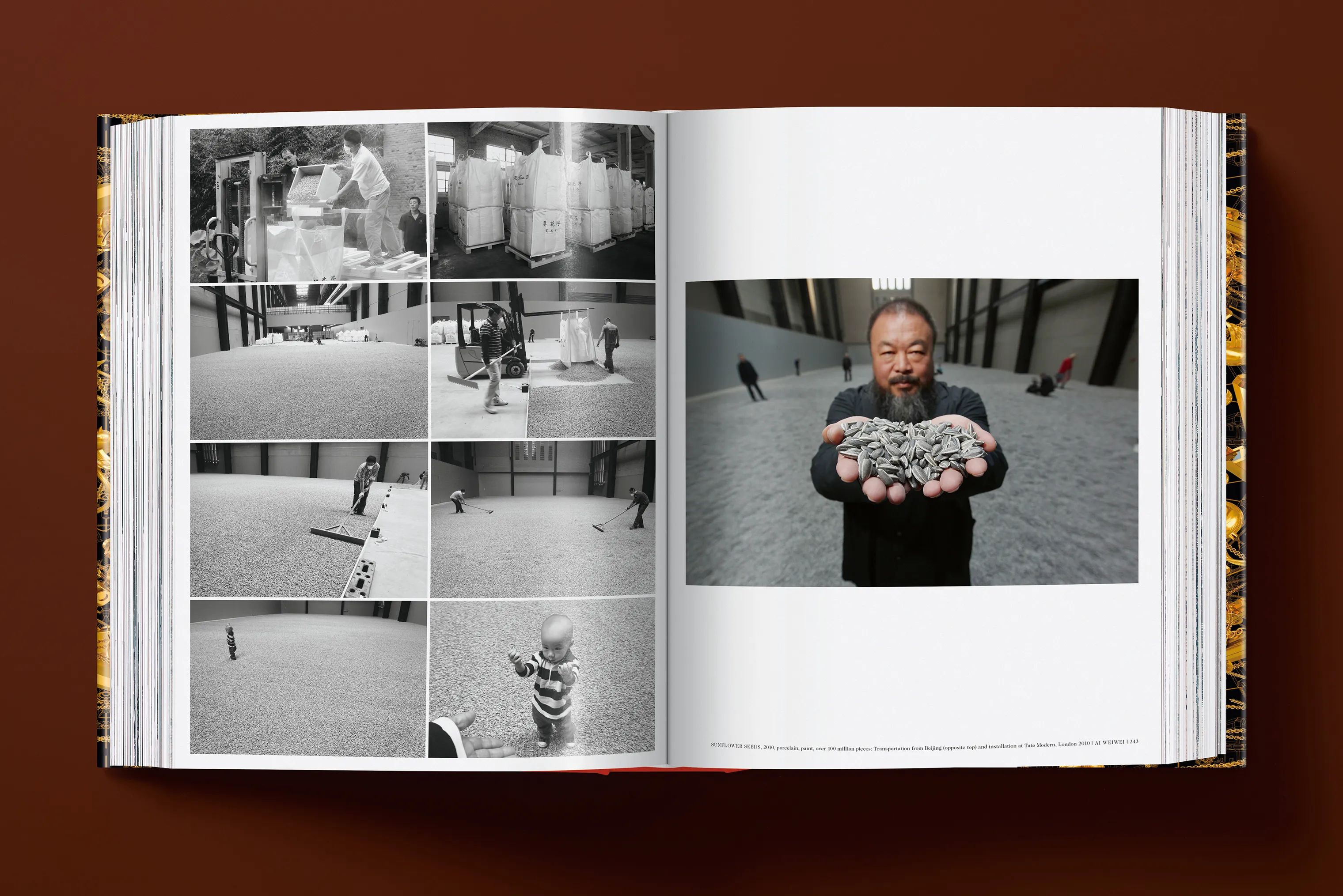 Taschen Bøger AI WEIWEI i Guldfarvet, 2
