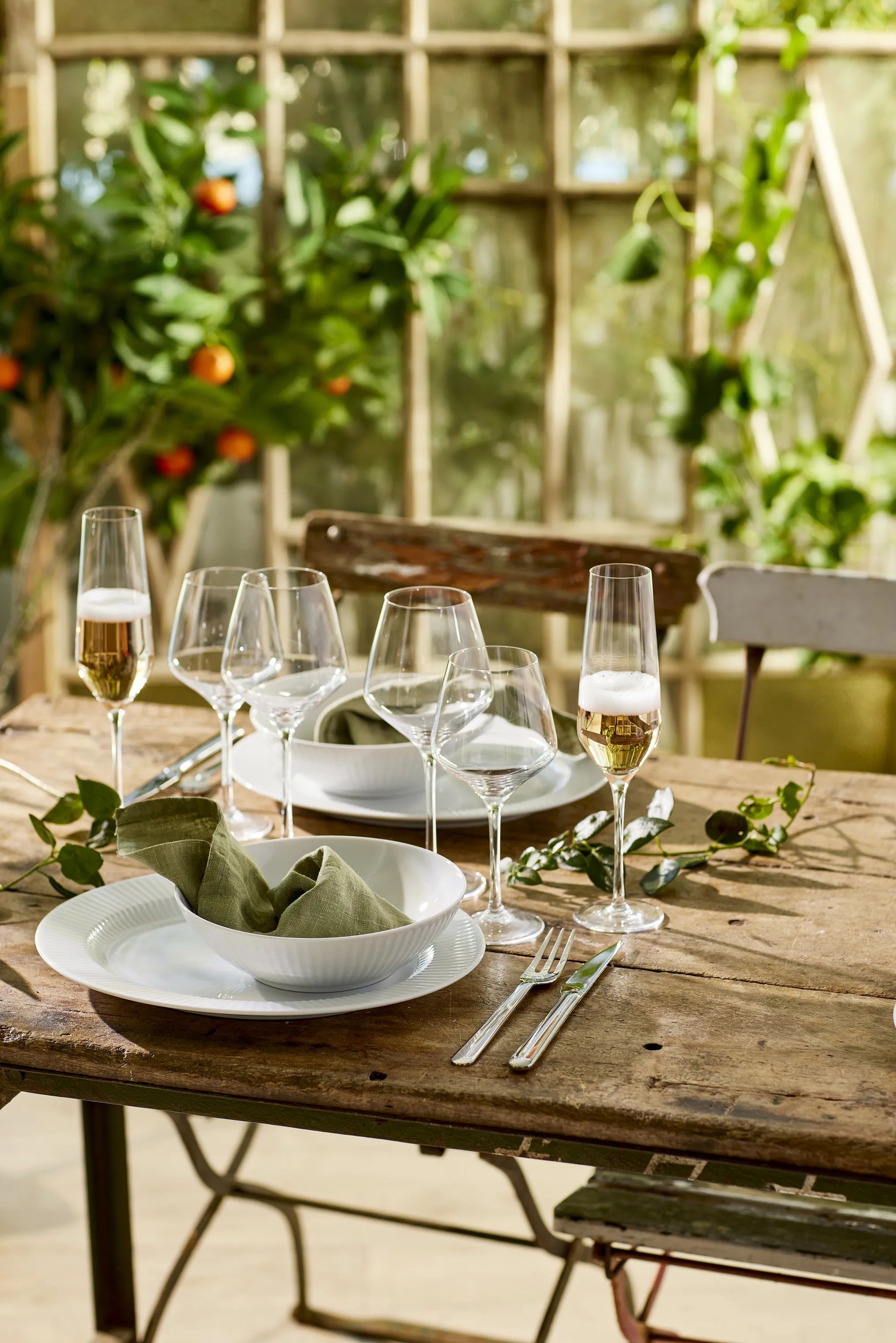 Eva Trio Champagneglas Legio Nova Champagneglas - 6 stk. i klar, 2