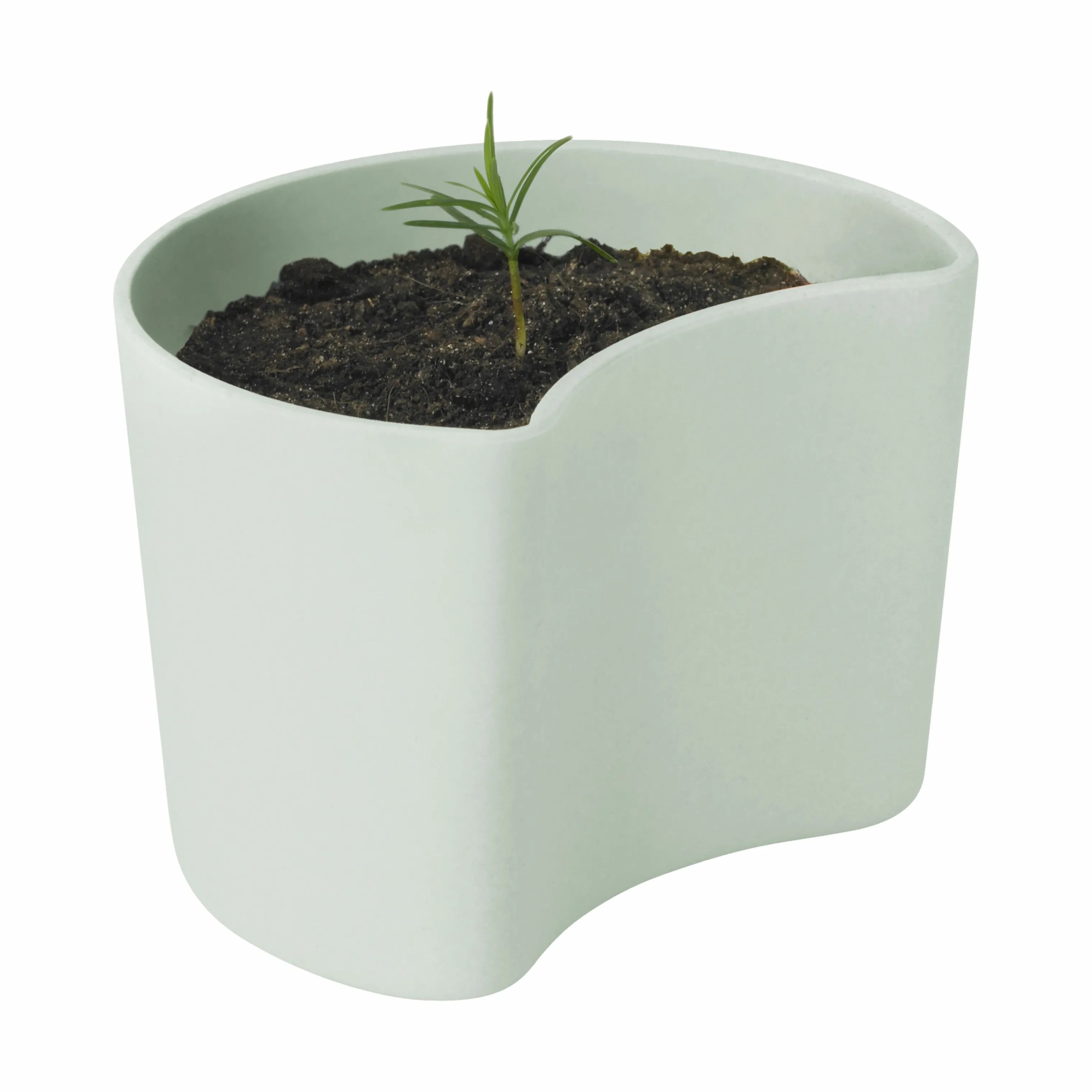 Rig-Tig Plantekrukker Your Tree Plantepotte m. fyrrefrø i Grøn, 7 cm, 2