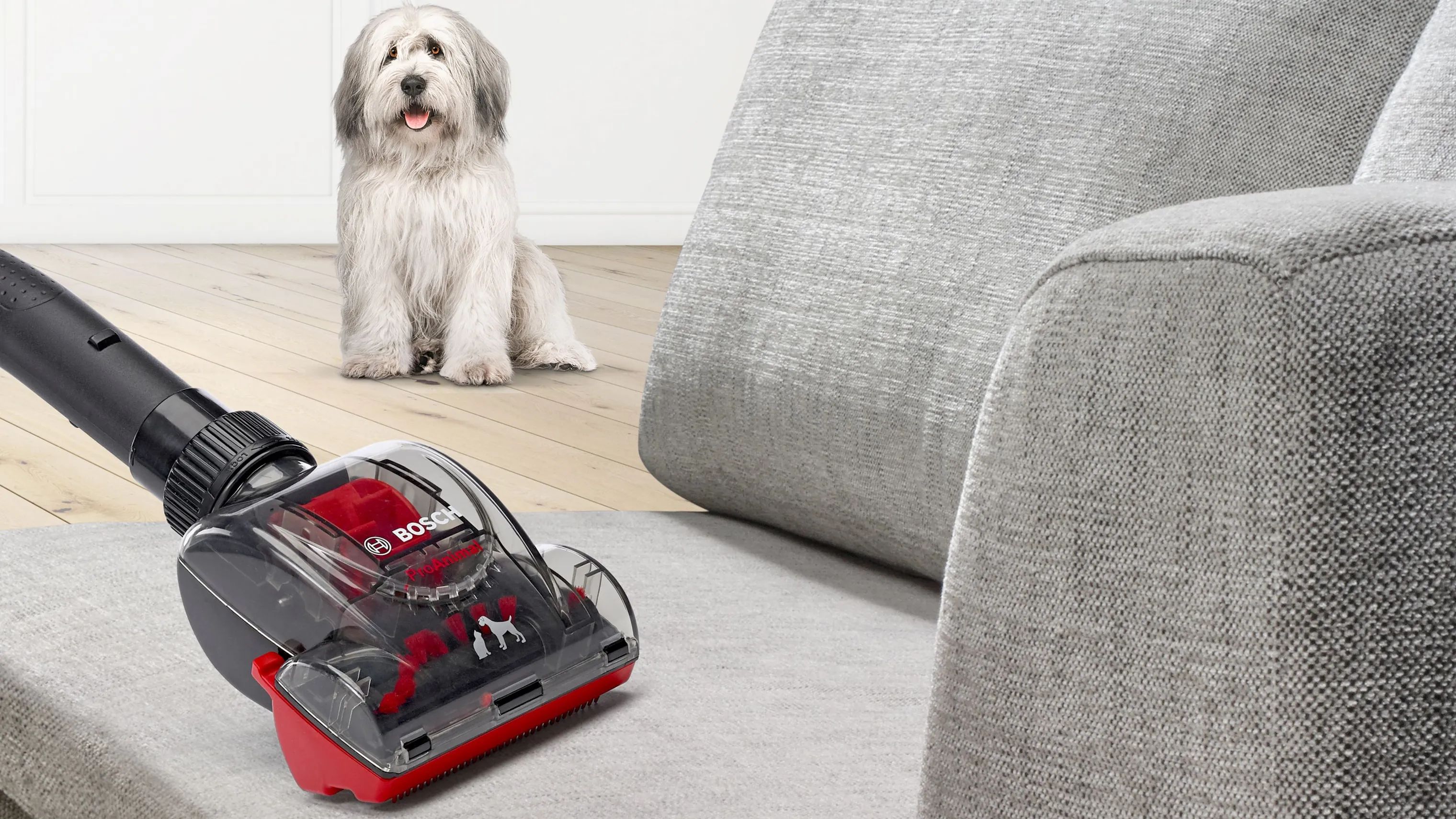 Bosch Støvsugere Poseløs støvsuger BGS41PET1 Serie 6 i Rød, 5