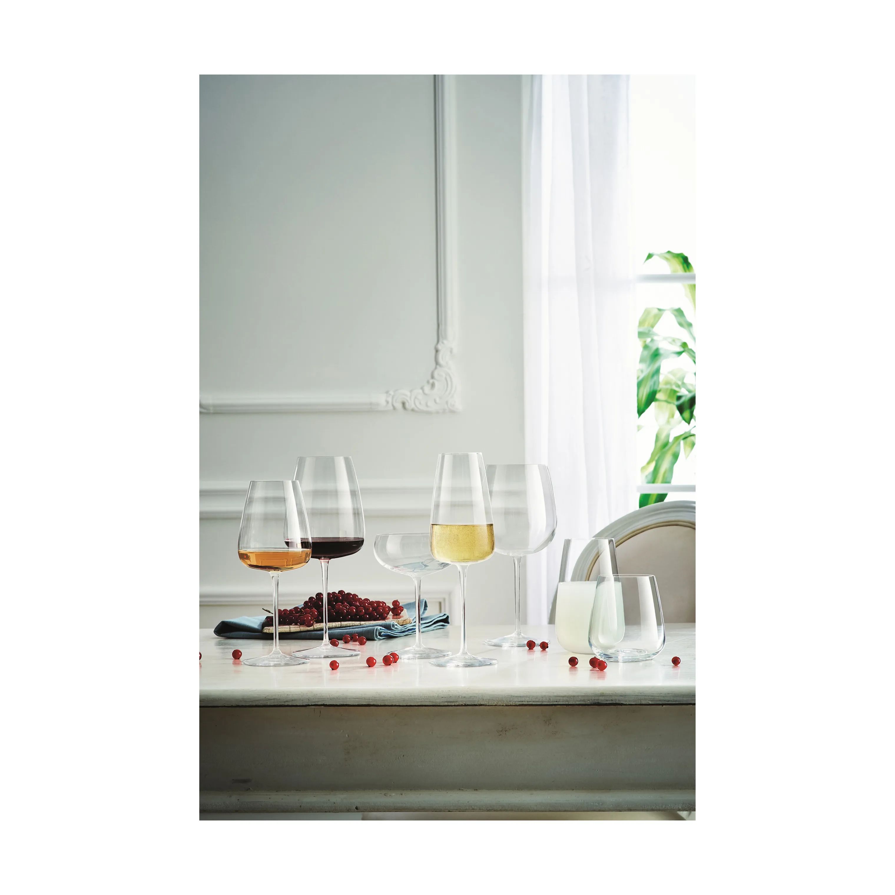 Luigi Bormioli Champagneglas Meravigliosi Champagneskål - 6 stk. i Transparent, 4