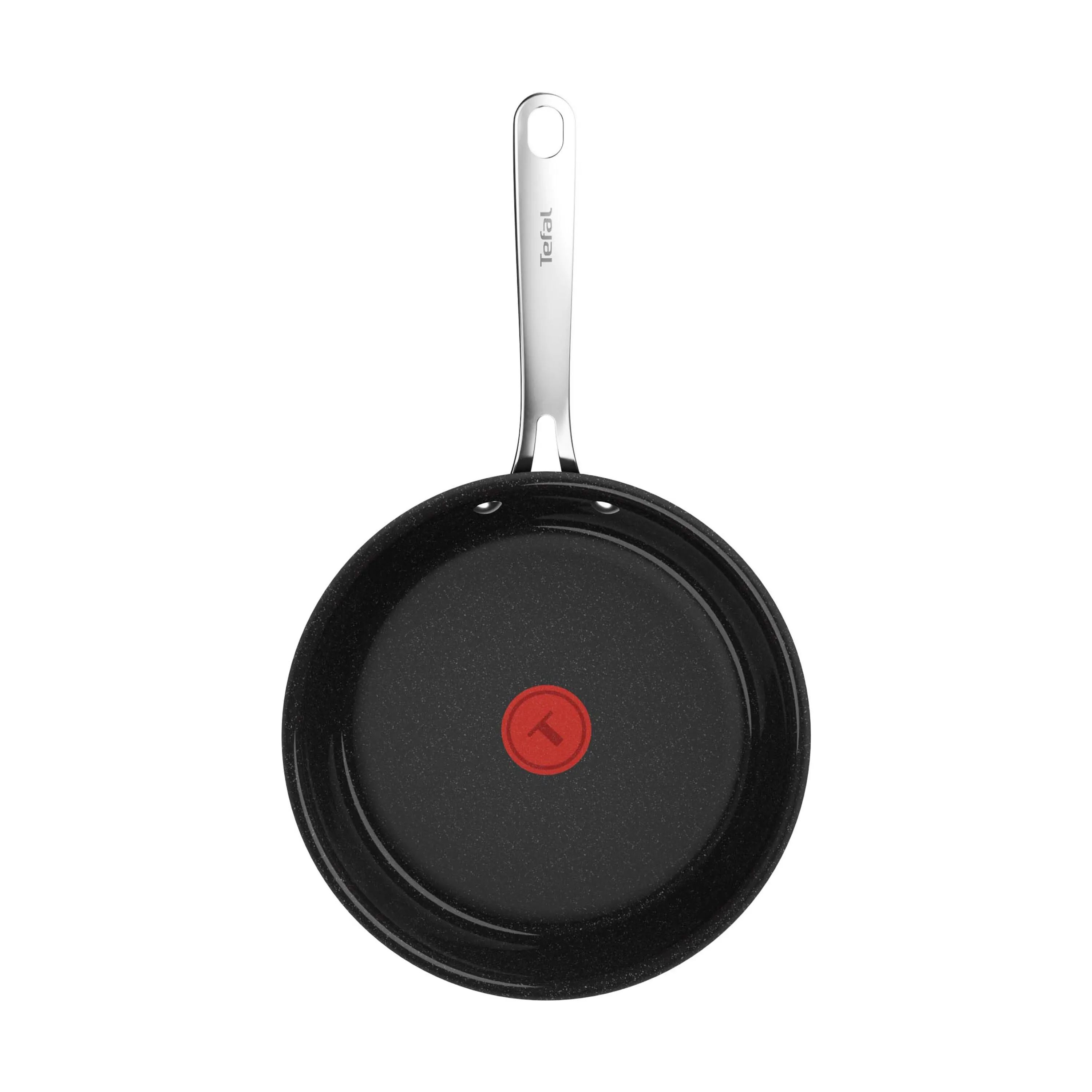 Tefal Stegepander Excellence Plus Stegepande i 24 cm, 4