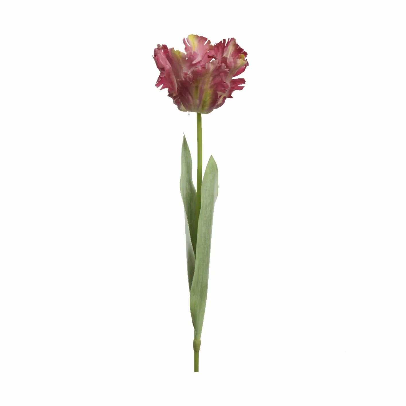 CASA Living Kunstige blomster Kunstig Blomst - Papegøjetulipan i lyserød, 1