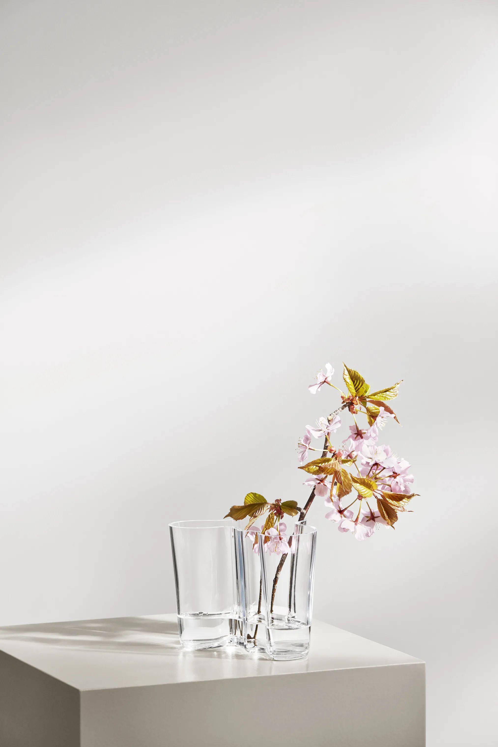 Iittala Vaser Alvar Aalto Vase i Klar, 16 cm, 2