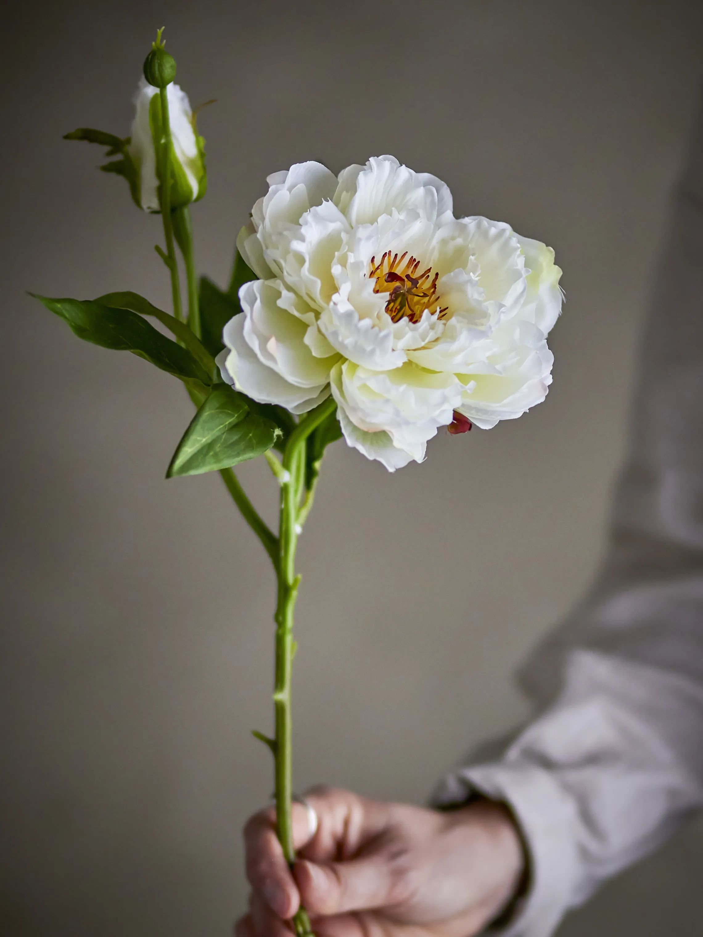 Bloomingville Kunstige blomster Kunstig blomst - Peony stilk i Hvid, 2
