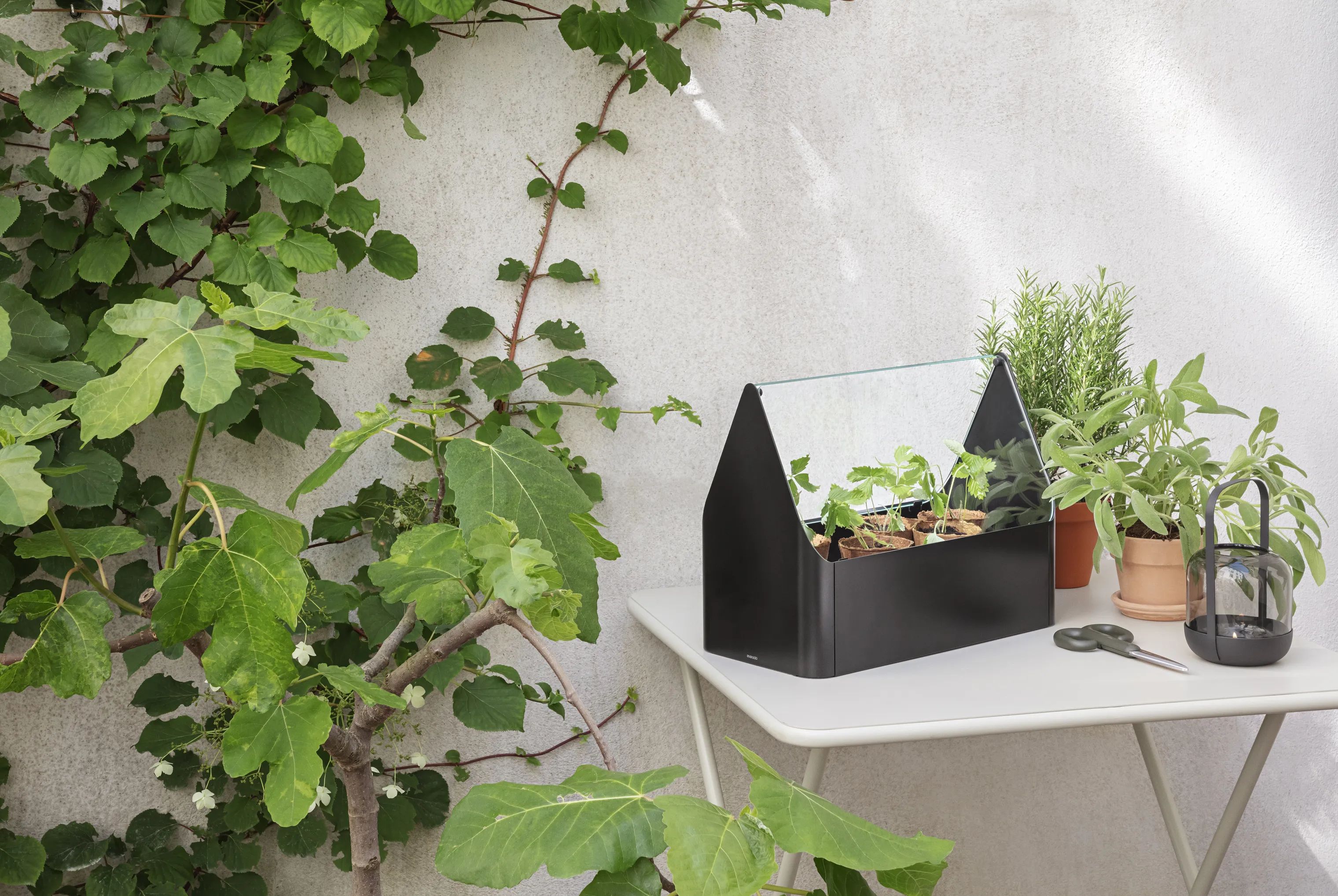 Eva Solo Altankasser Simply Grow Mini Drivhus i 32 cm, 2